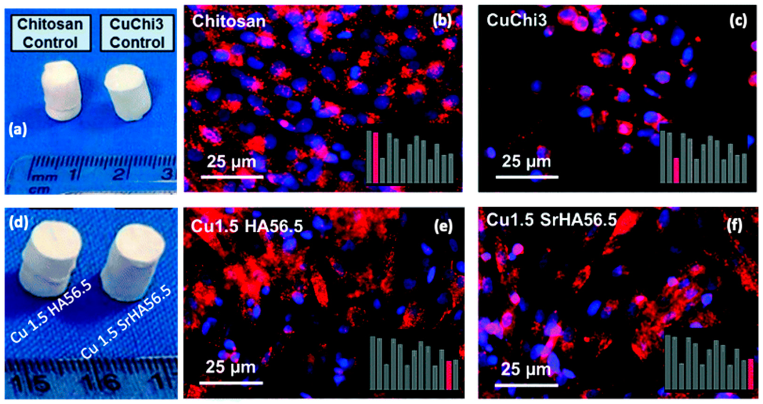 Marinedrugs 21 00147 g011