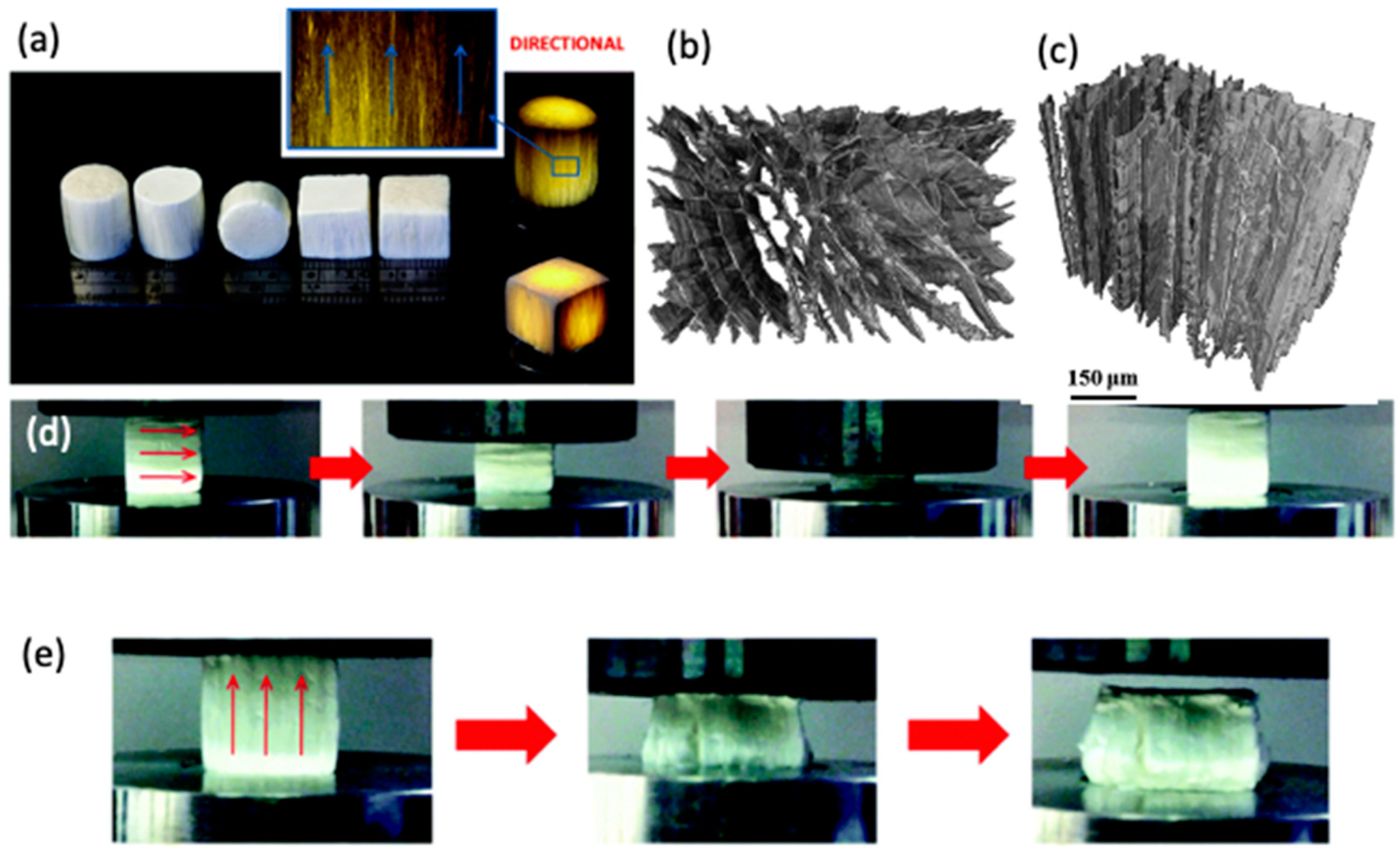 Marinedrugs 21 00147 g012