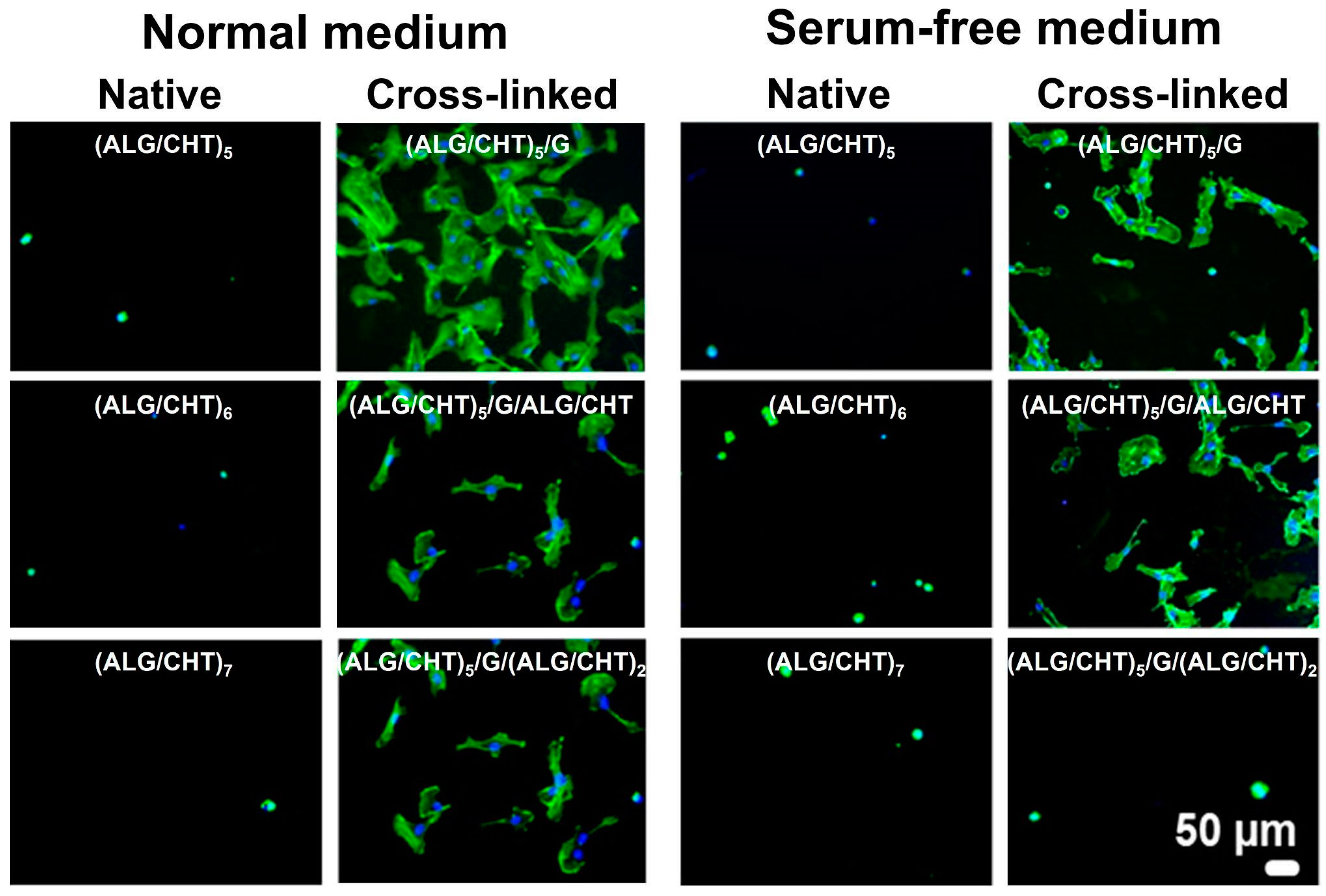 Marinedrugs 21 00147 g013