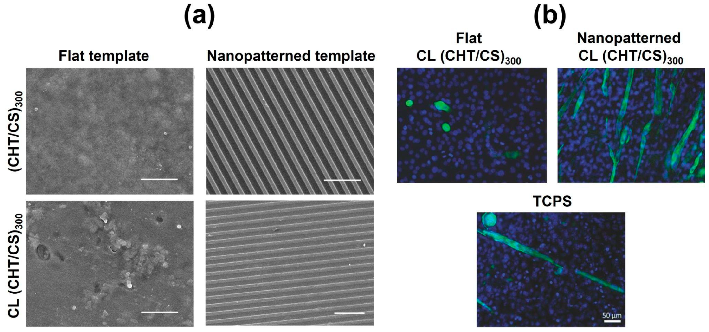 Marinedrugs 21 00147 g016