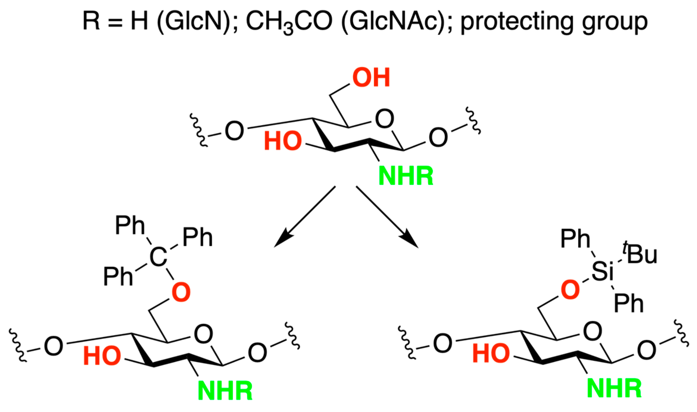 Marinedrugs 21 00147 sch003