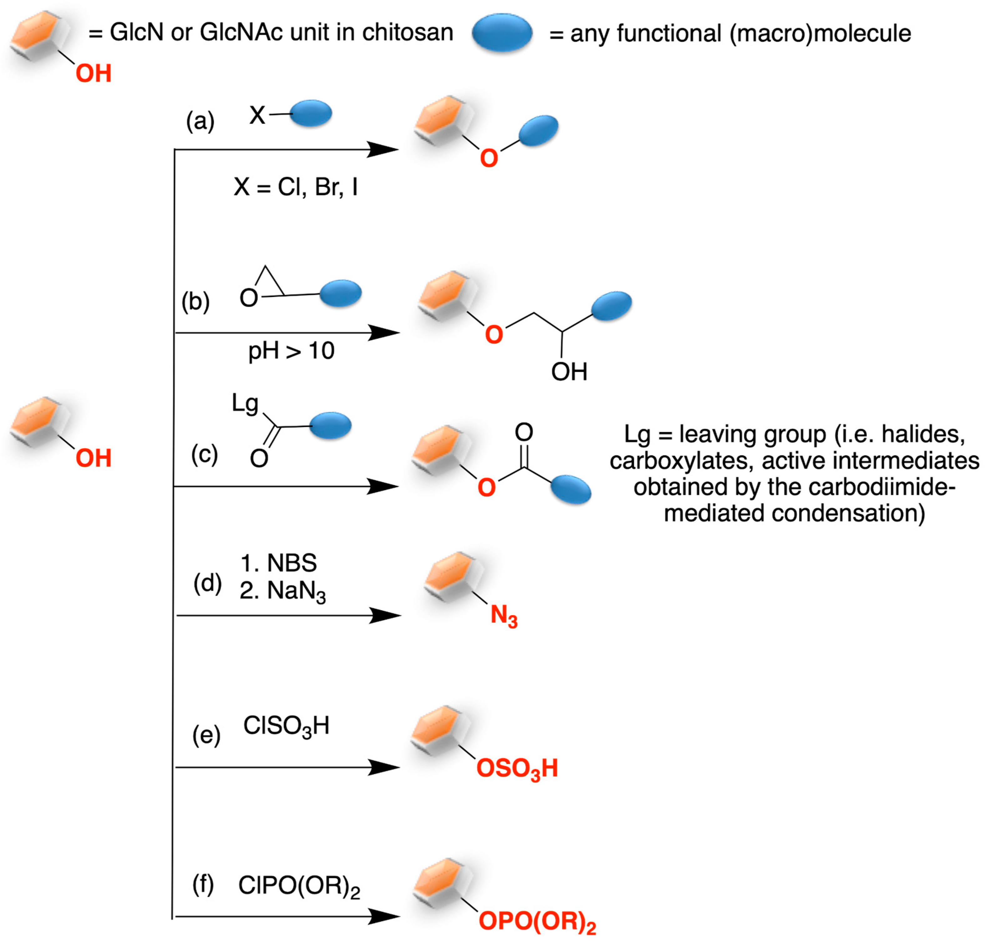 Marinedrugs 21 00147 sch004