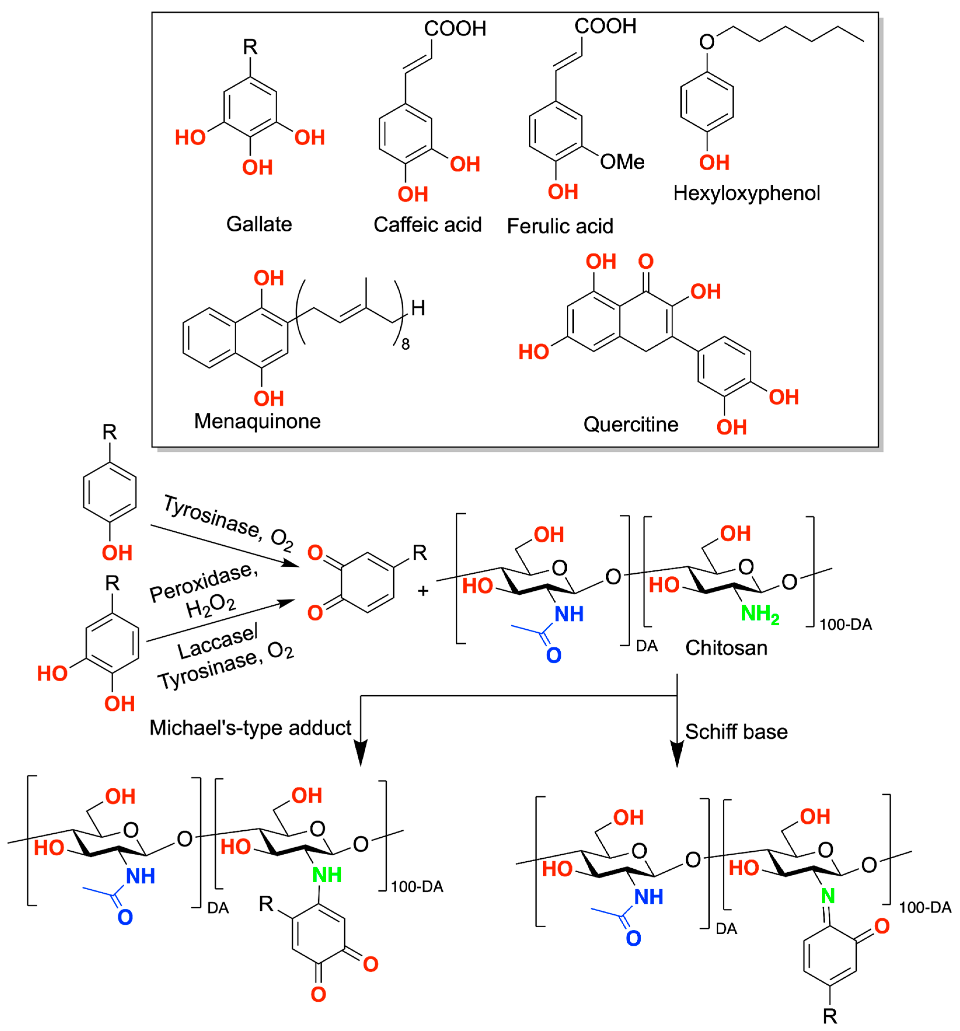 Marinedrugs 21 00147 sch005