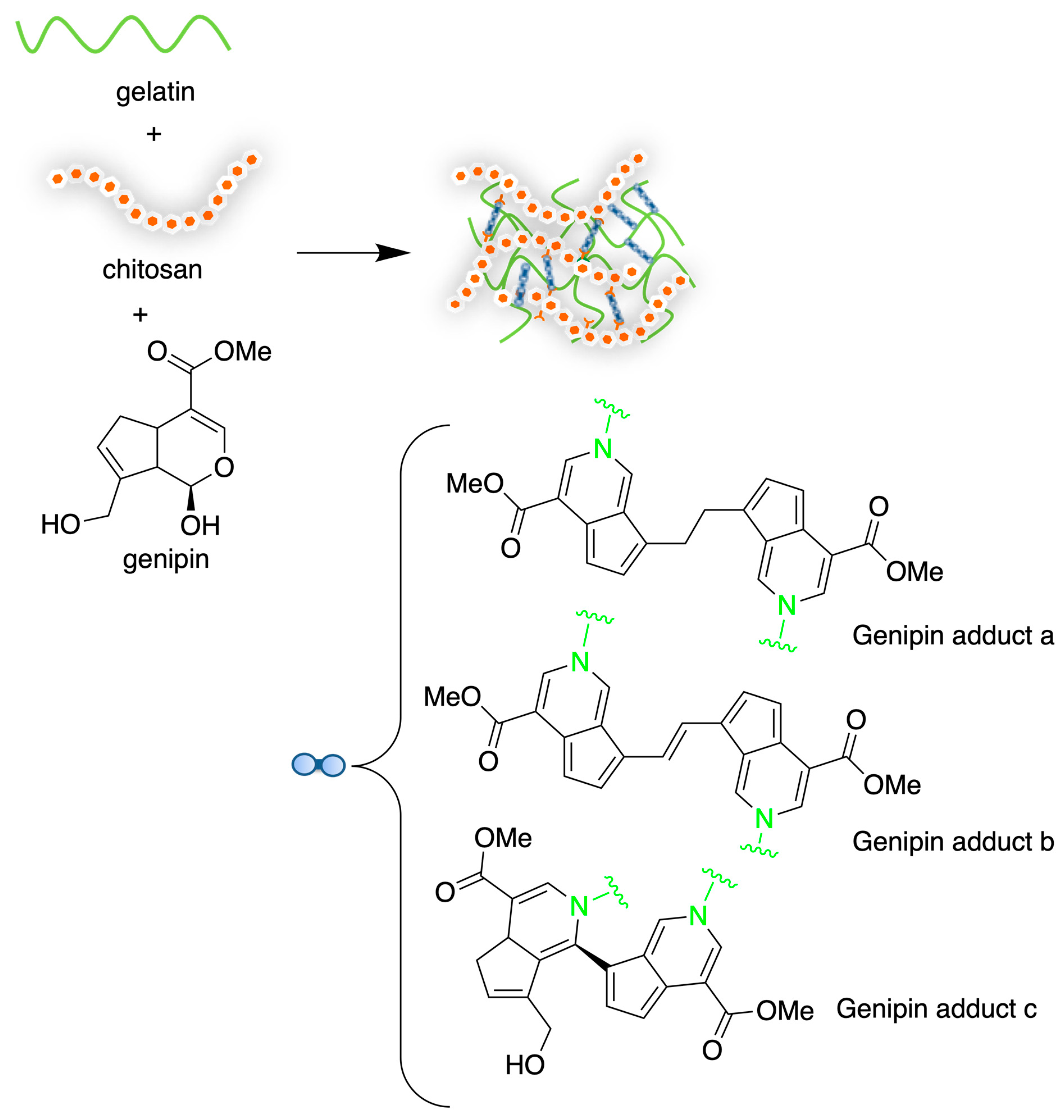 Marinedrugs 21 00147 sch008