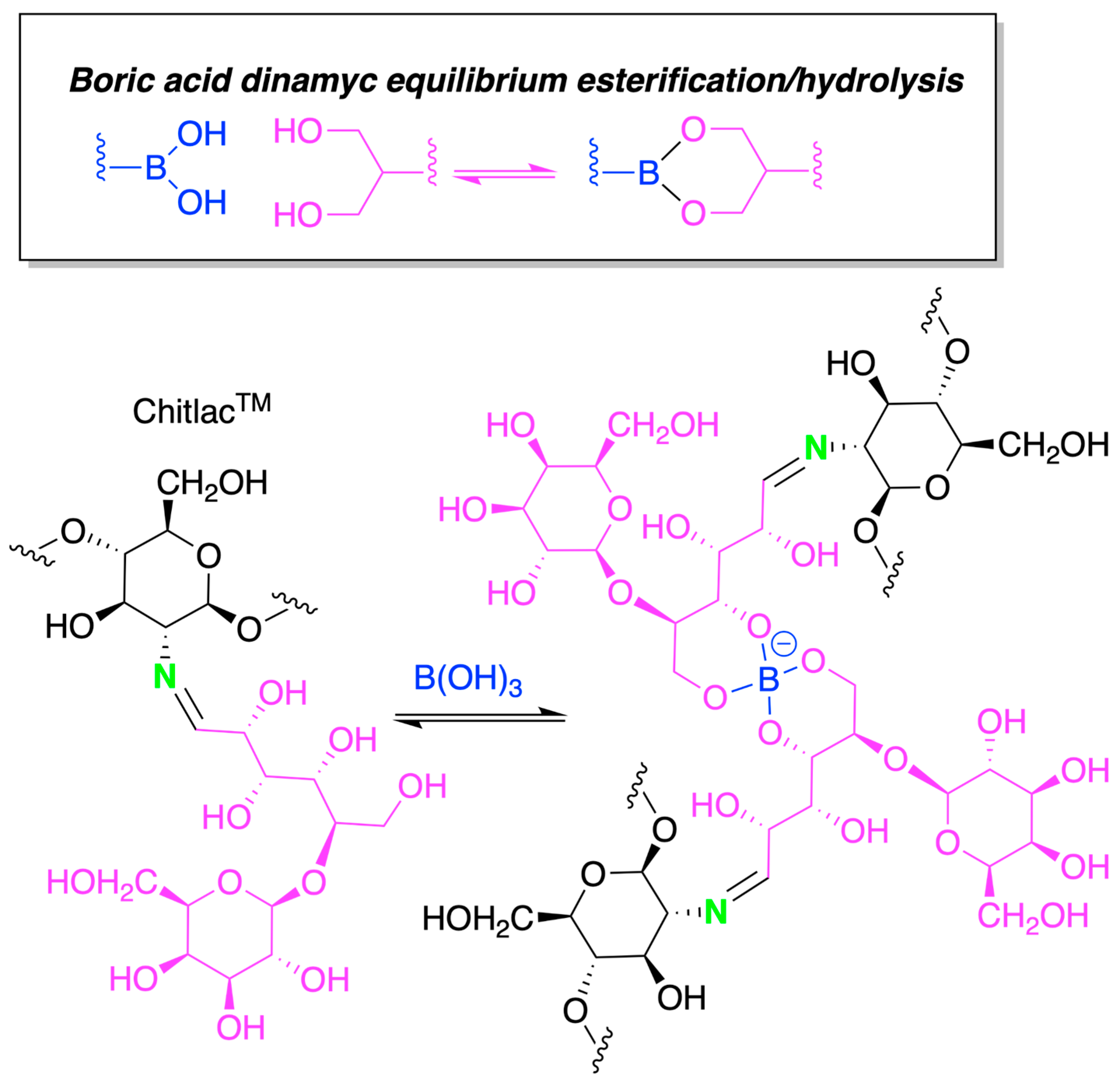 Marinedrugs 21 00147 sch012