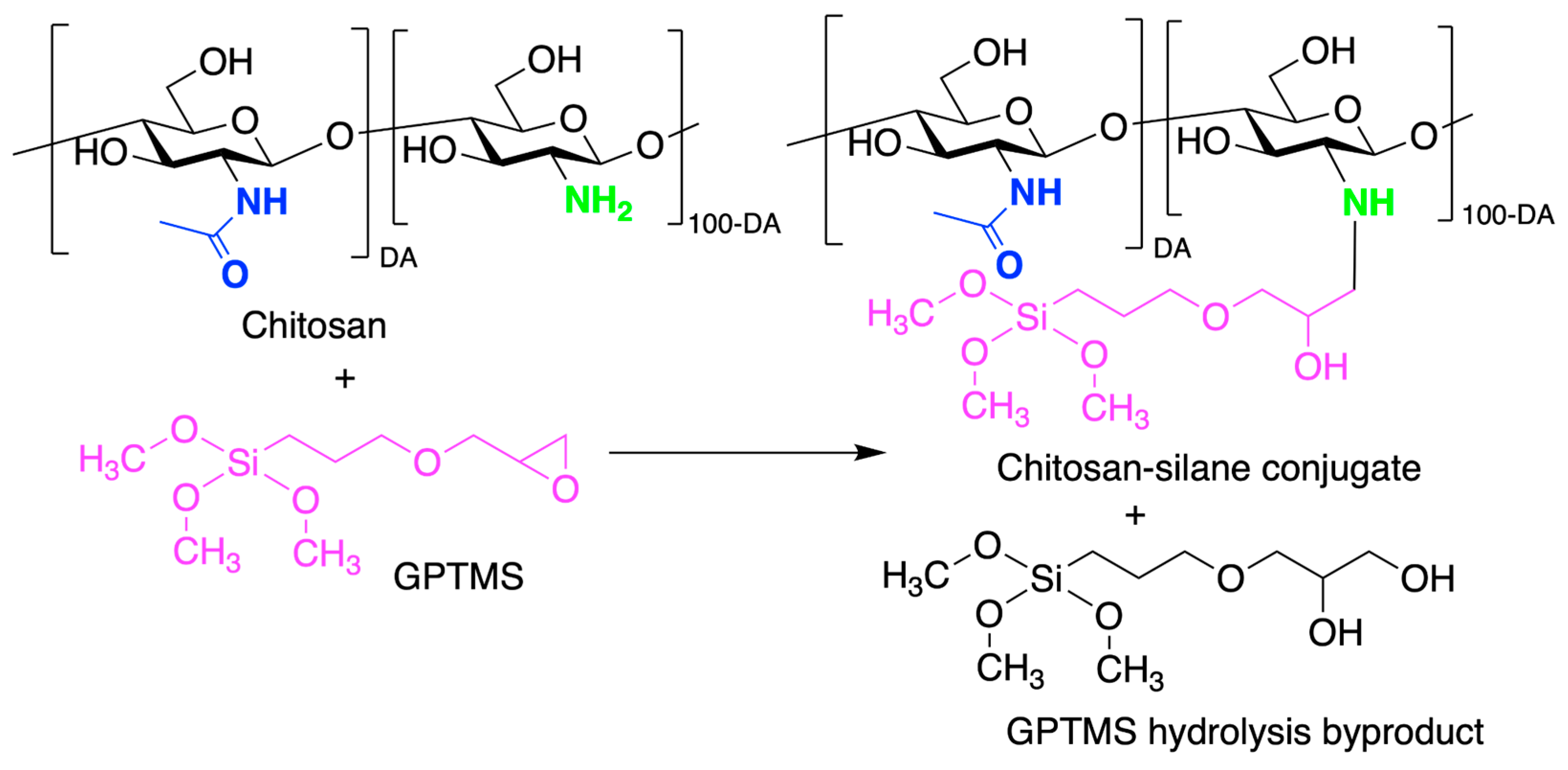 Marinedrugs 21 00147 sch013