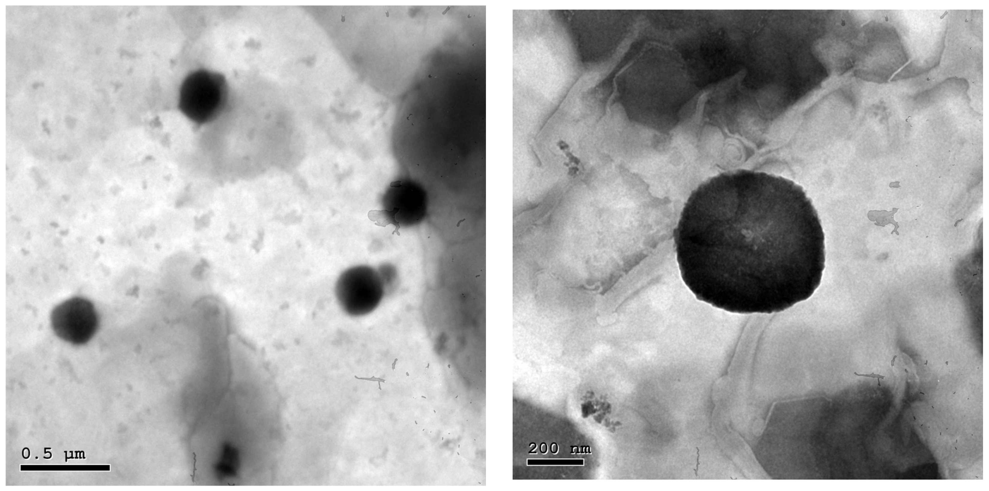 Marinedrugs 21 00149 g005