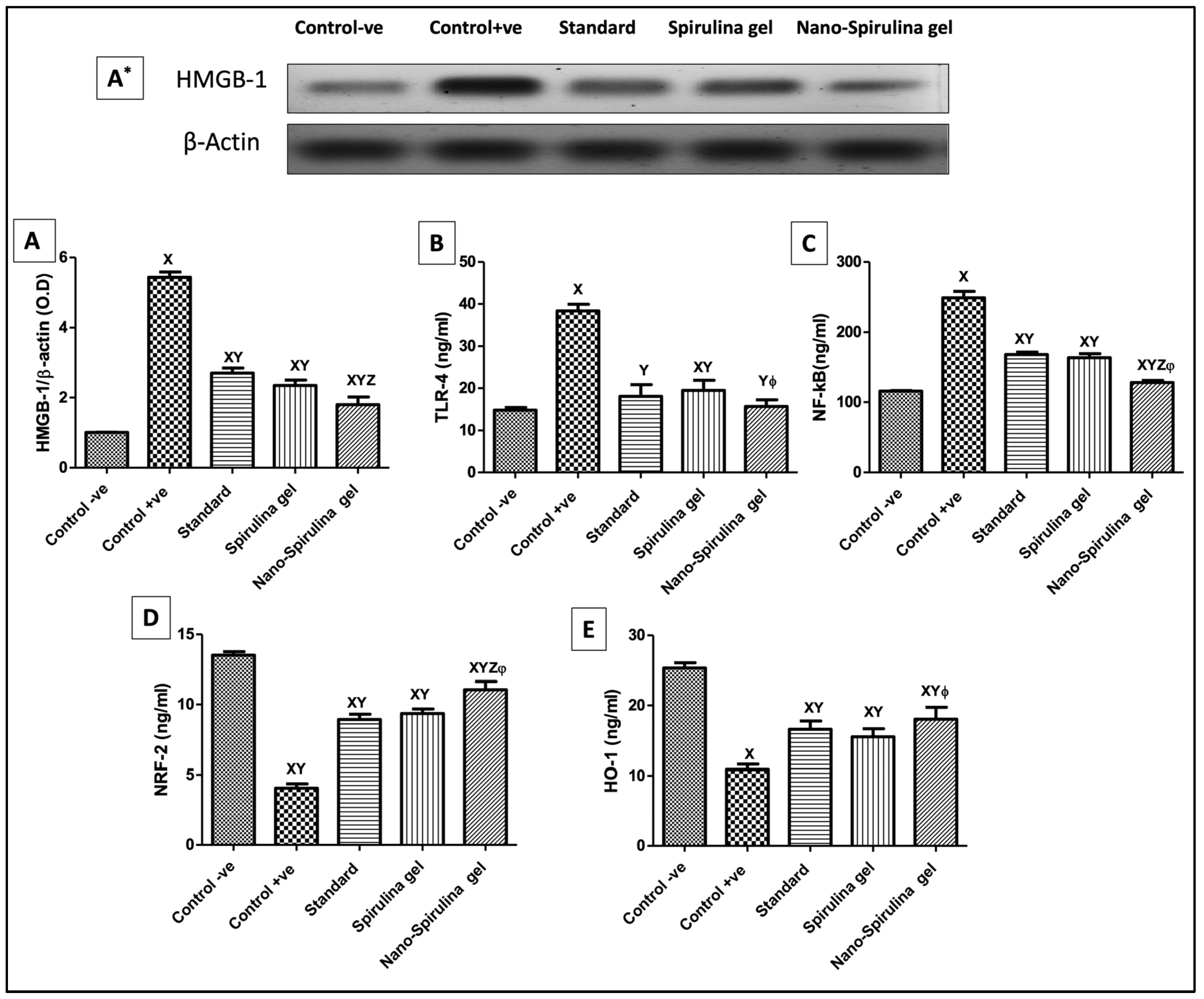 Marinedrugs 21 00149 g008