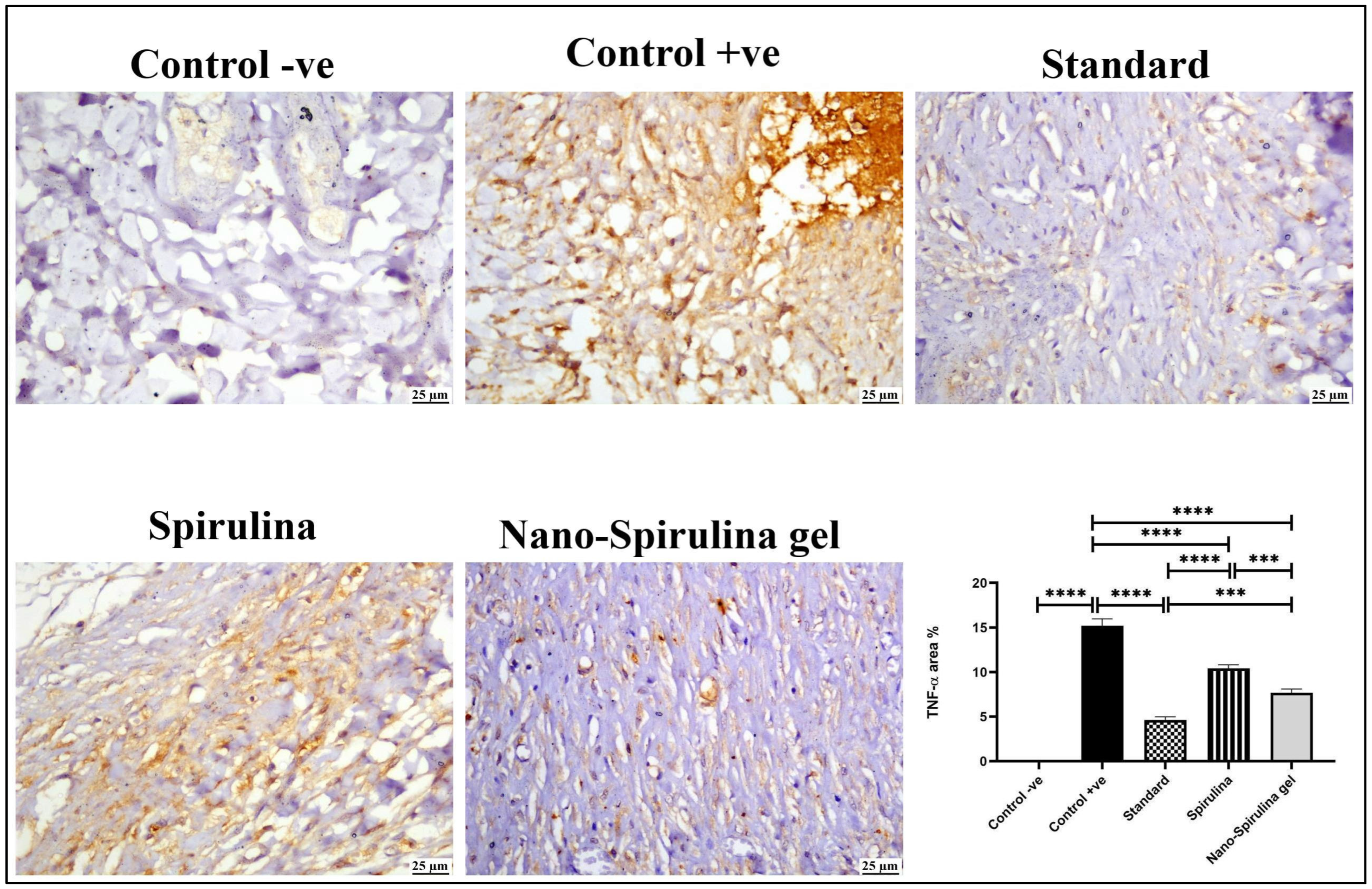 Marinedrugs 21 00149 g009