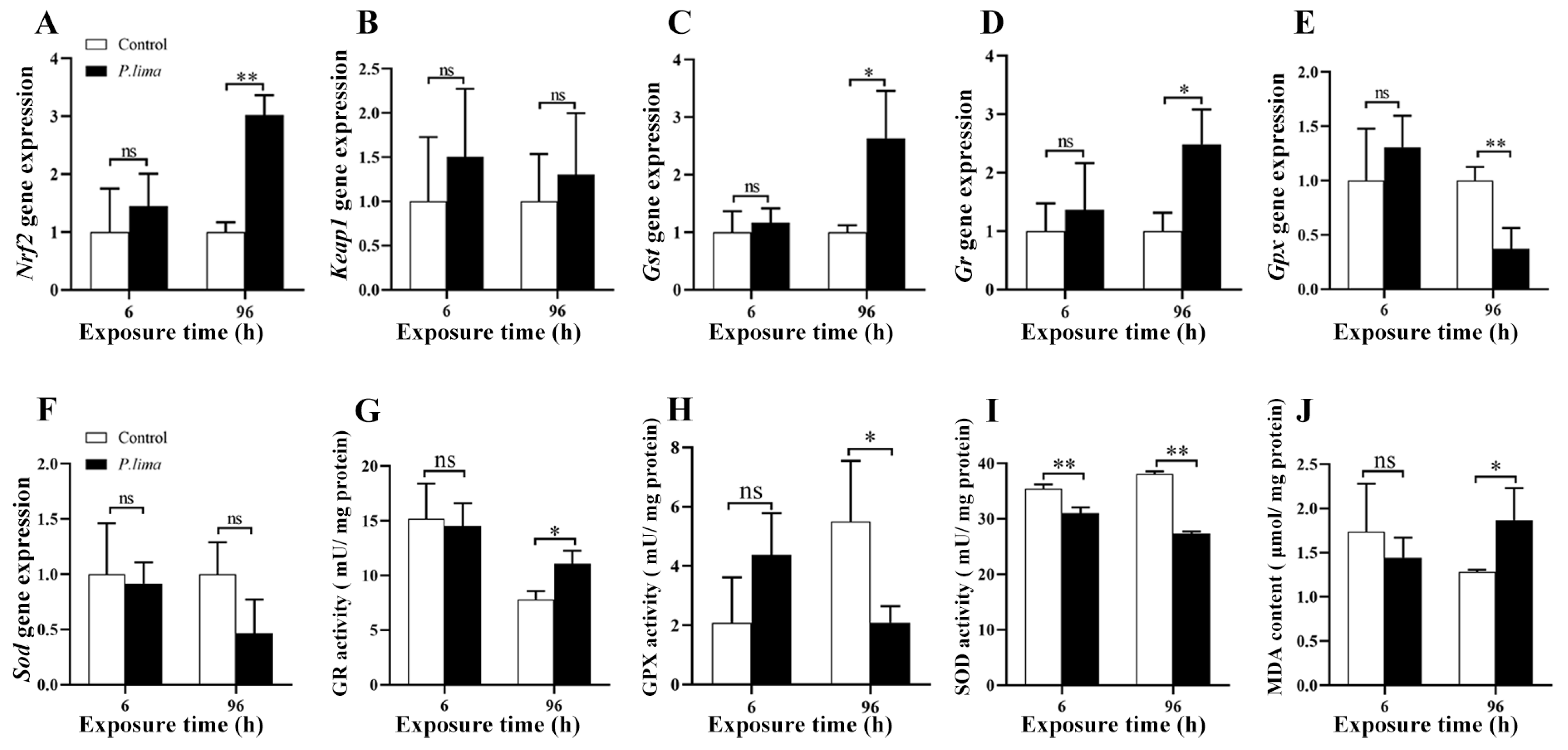Marinedrugs 21 00155 g003 Marinedrugs 21 00155 g003