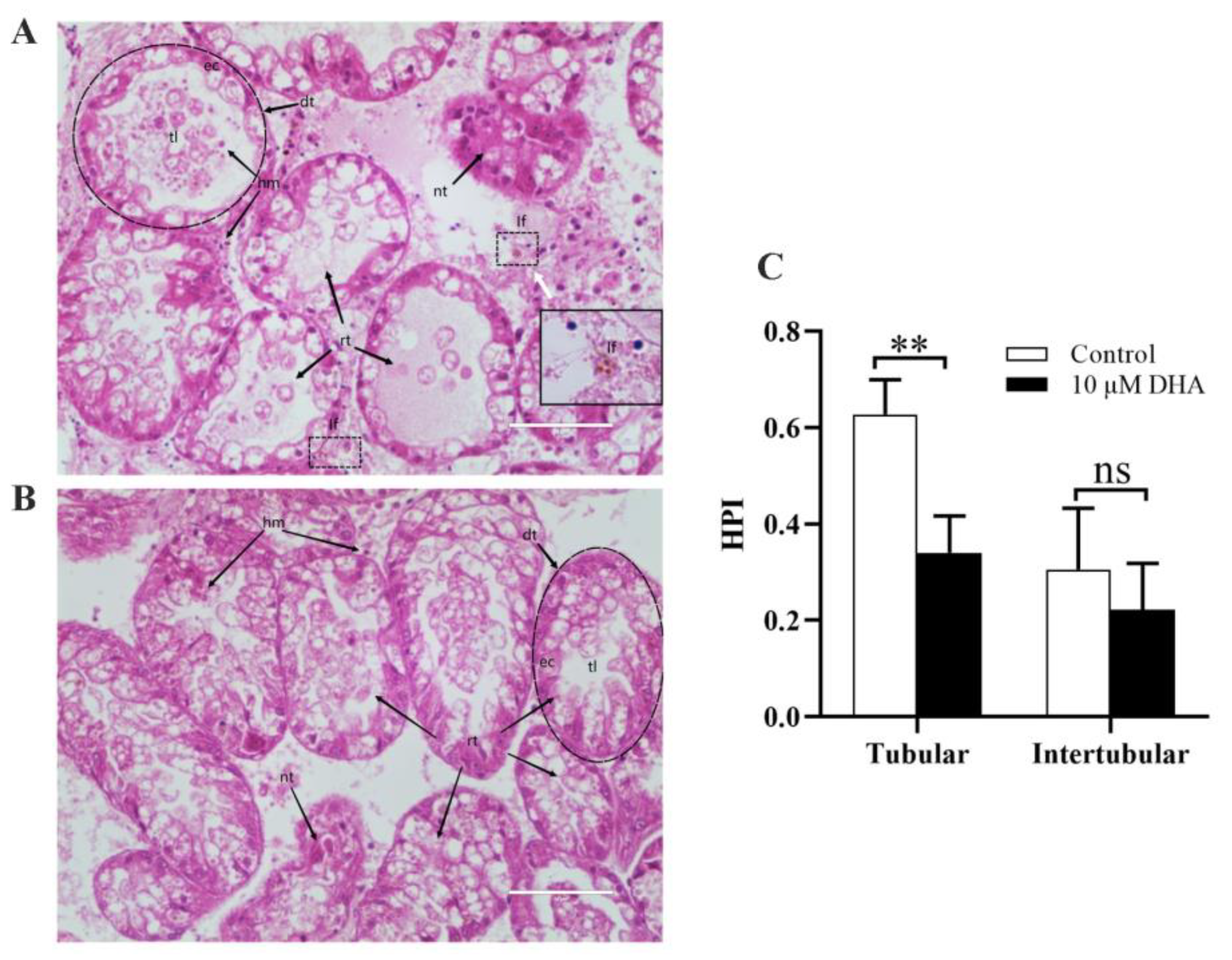 Marinedrugs 21 00155 g005 Marinedrugs 21 00155 g005