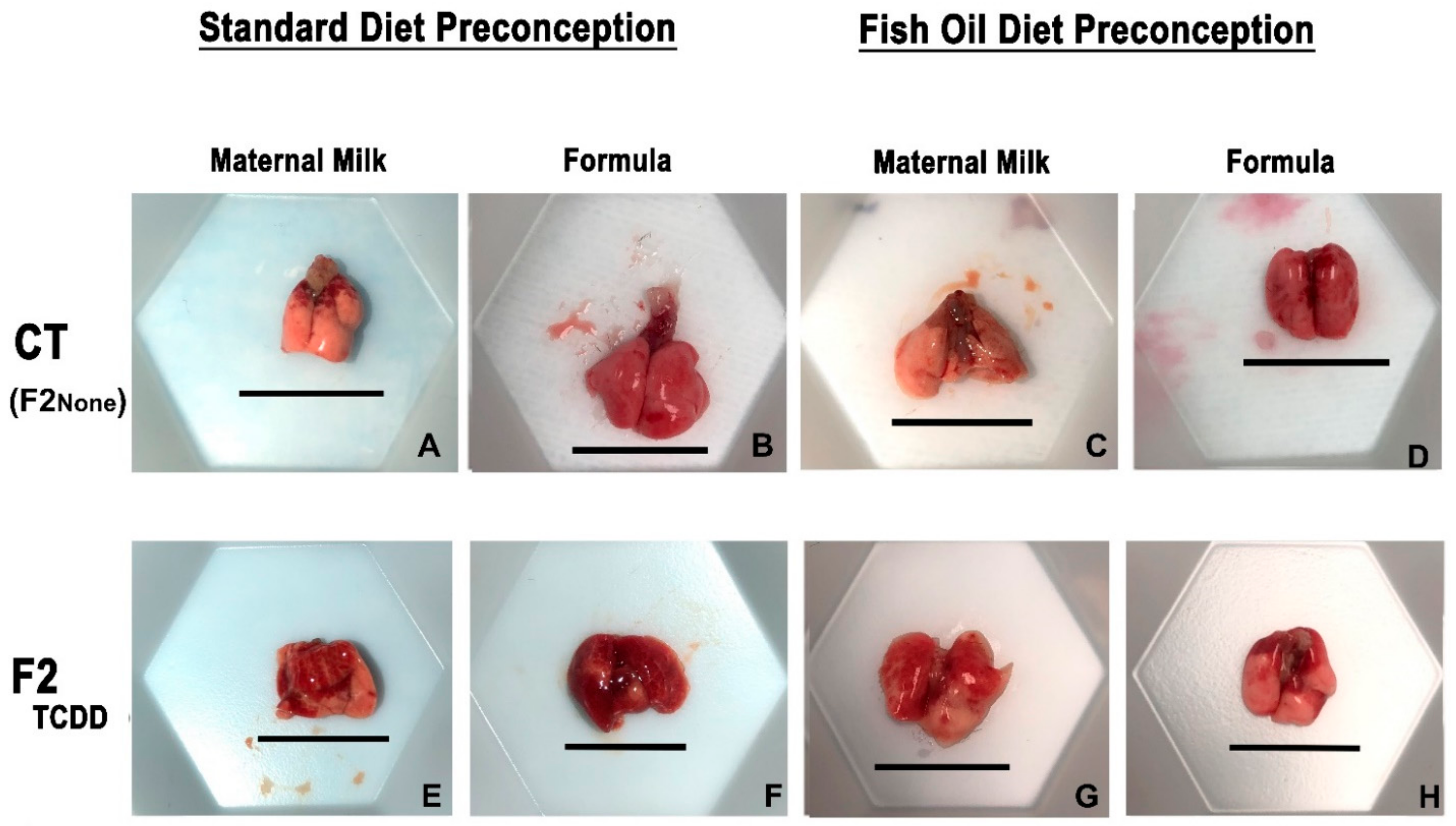 Marinedrugs 21 00161 g001 Marinedrugs 21 00161 g001