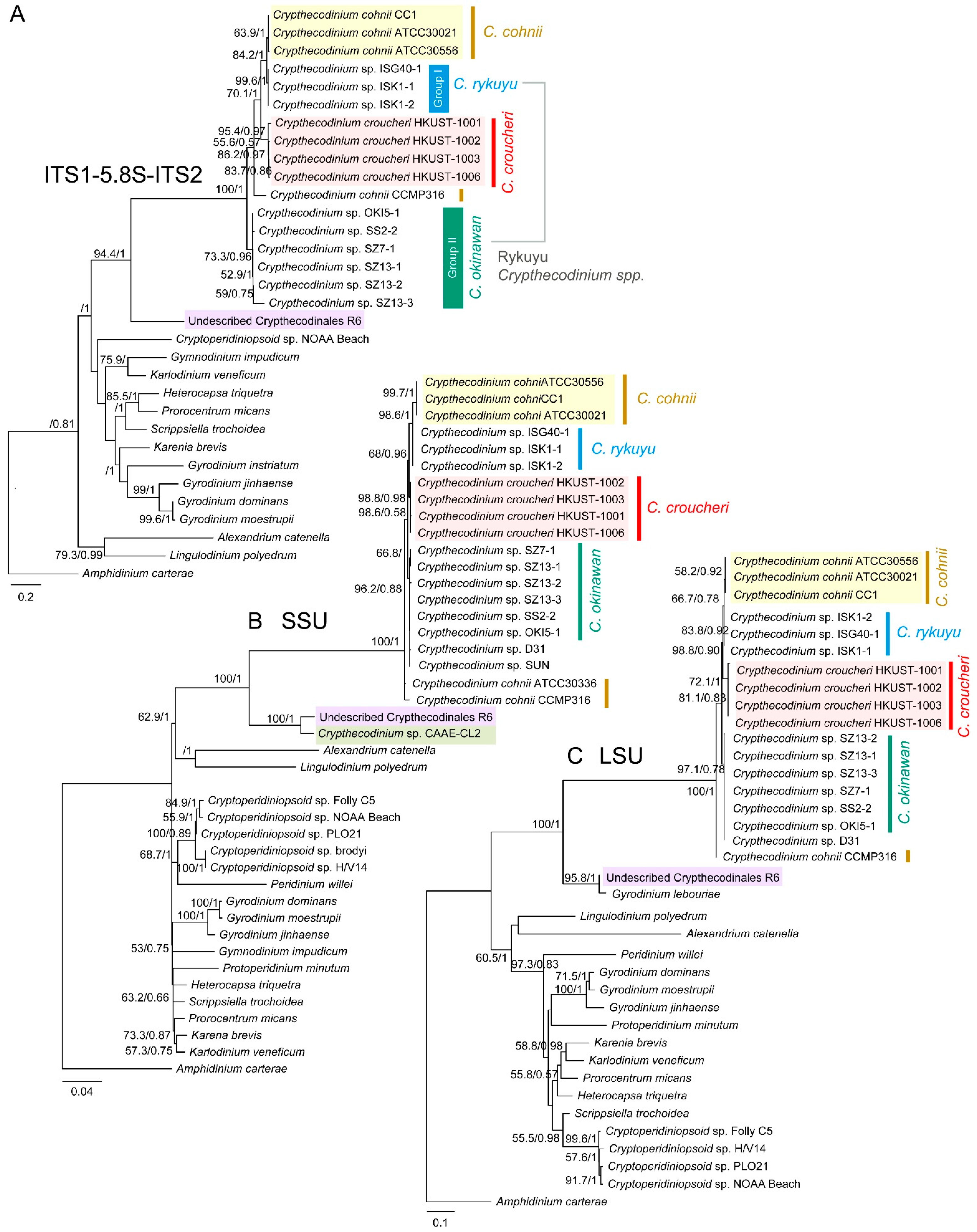 Marinedrugs 21 00162 g003 Marinedrugs 21 00162 g003