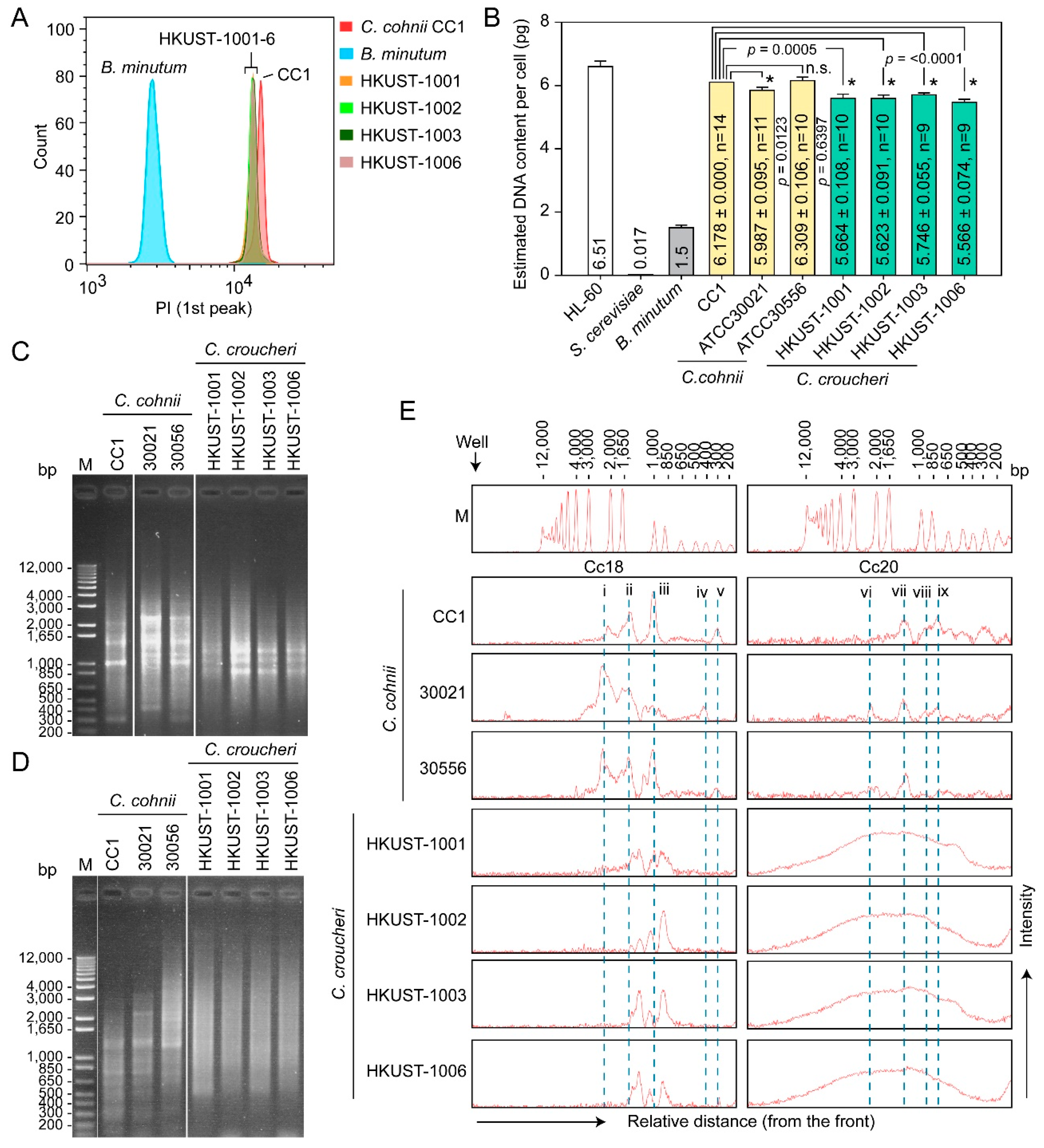 Marinedrugs 21 00162 g005 Marinedrugs 21 00162 g005