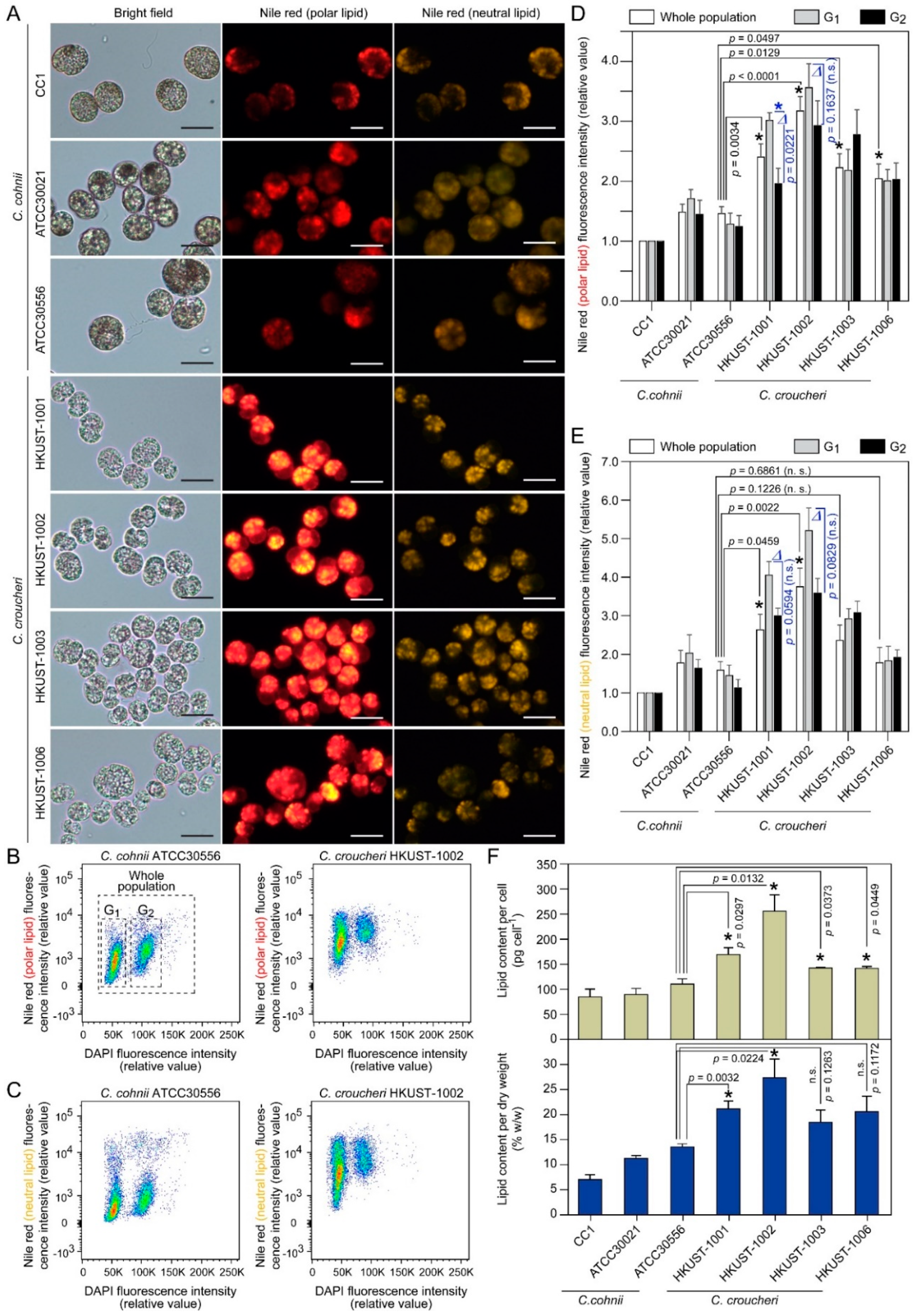Marinedrugs 21 00162 g006 Marinedrugs 21 00162 g006