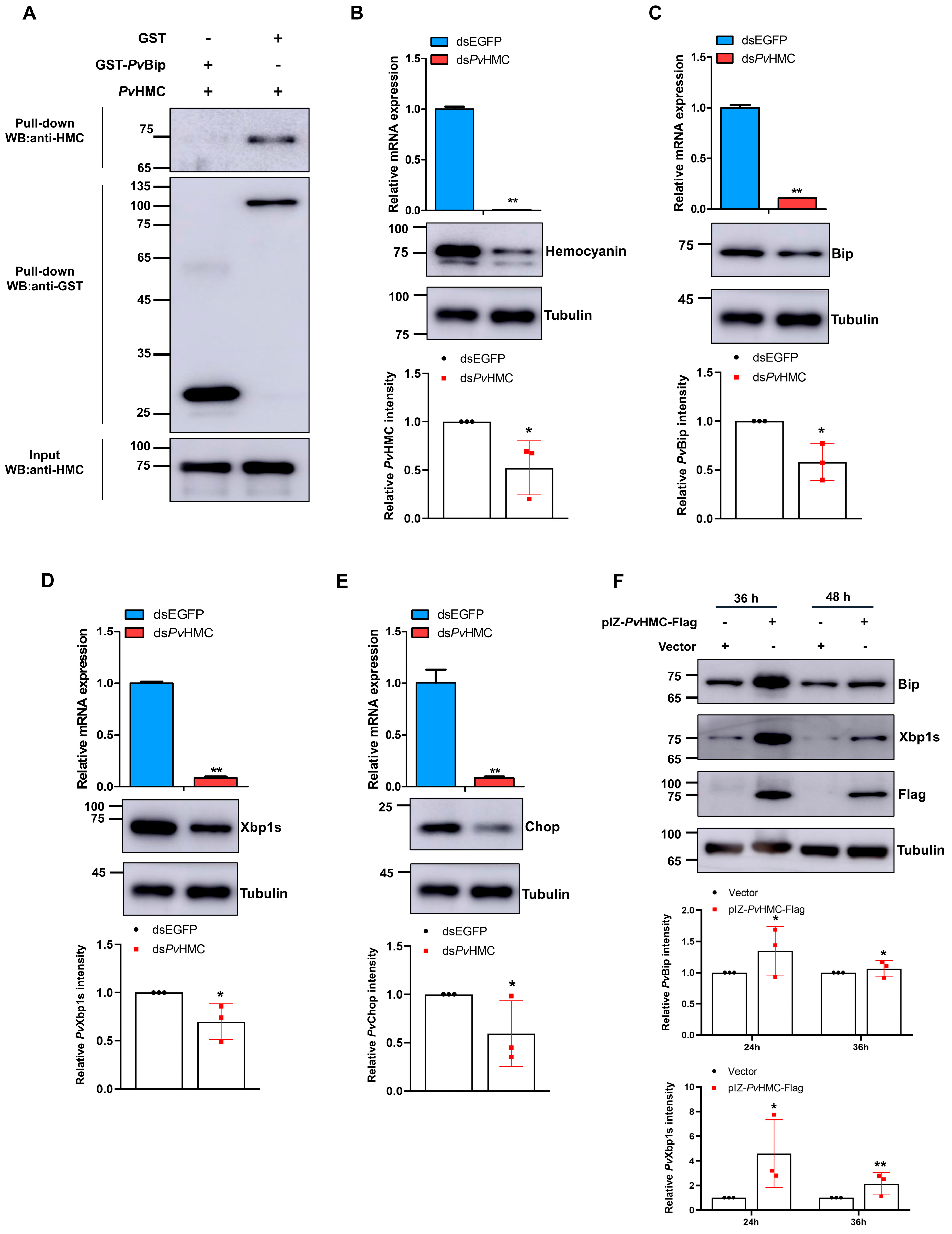 Marinedrugs 21 00164 g002 Marinedrugs 21 00164 g002