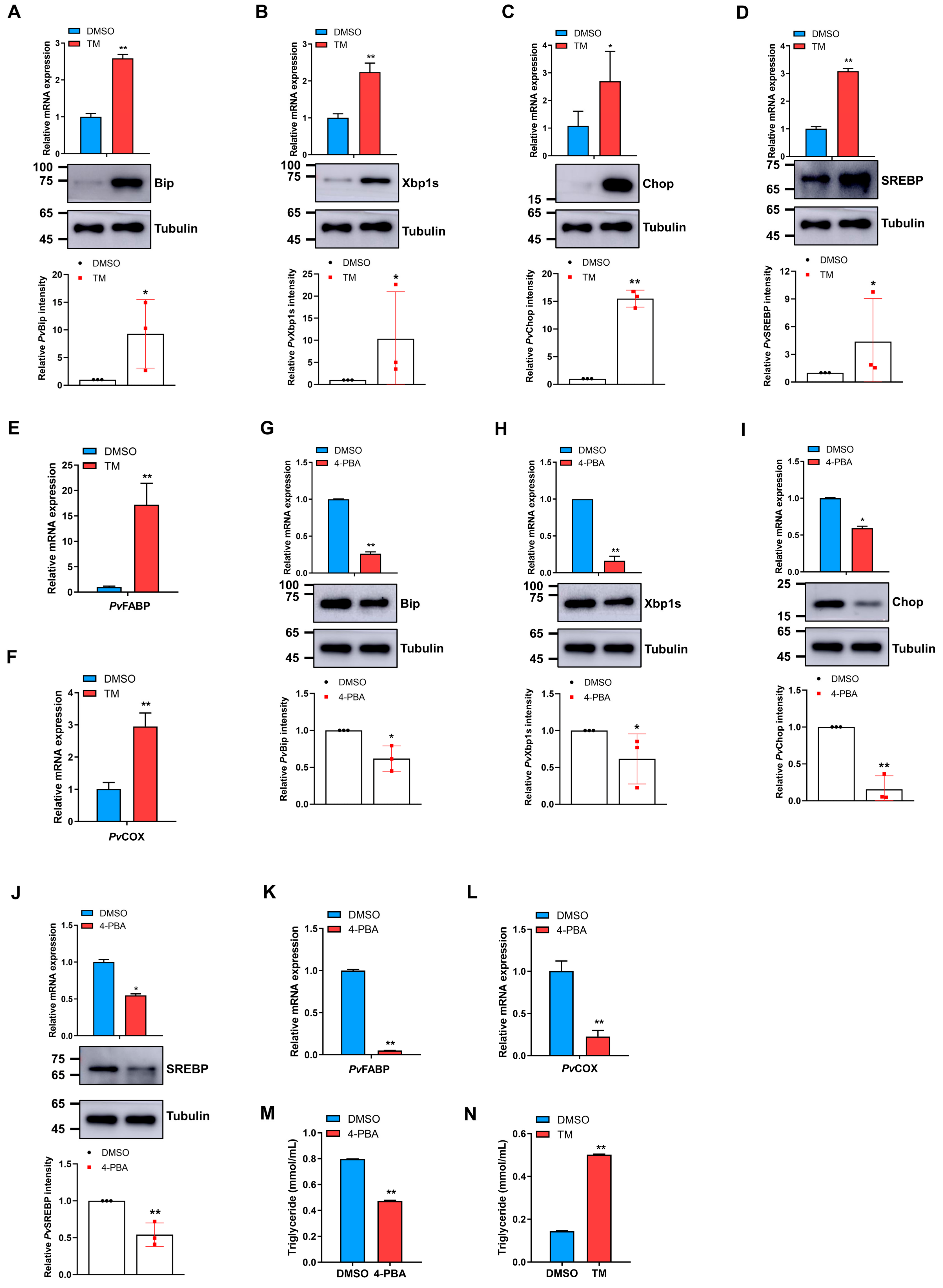Marinedrugs 21 00164 g004 Marinedrugs 21 00164 g004