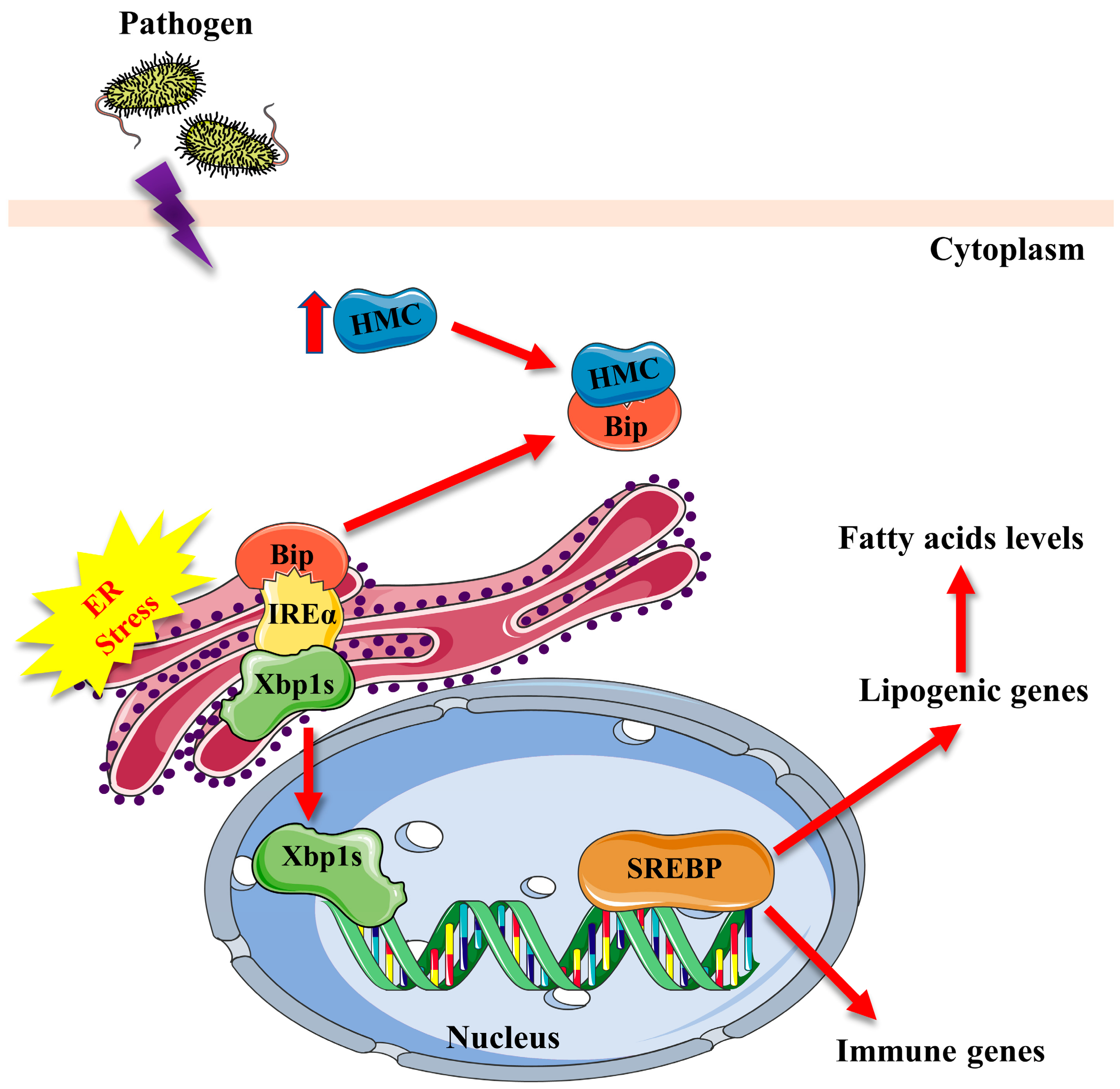 Marinedrugs 21 00164 g007 Marinedrugs 21 00164 g007