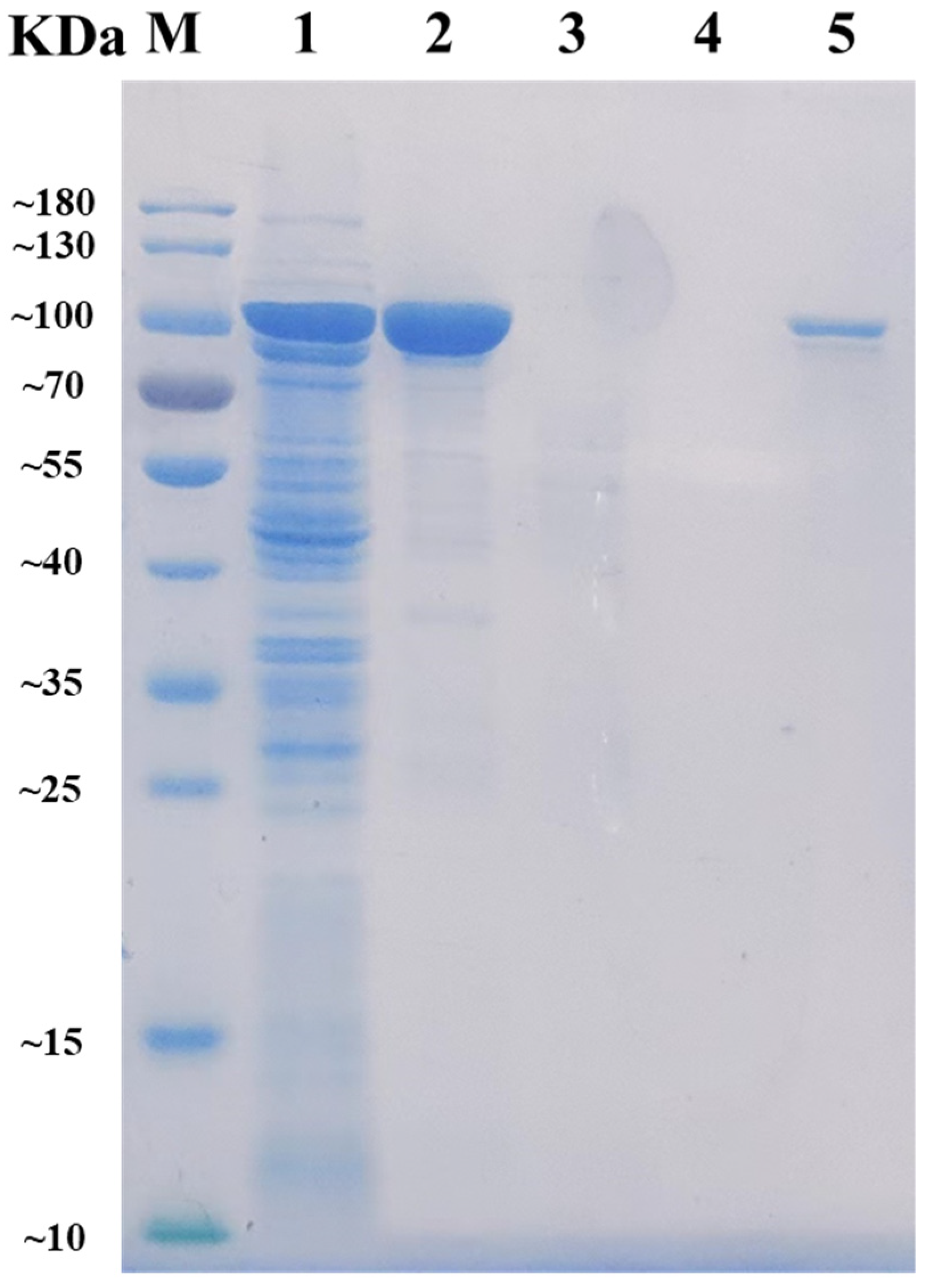 Marinedrugs 21 00180 g001