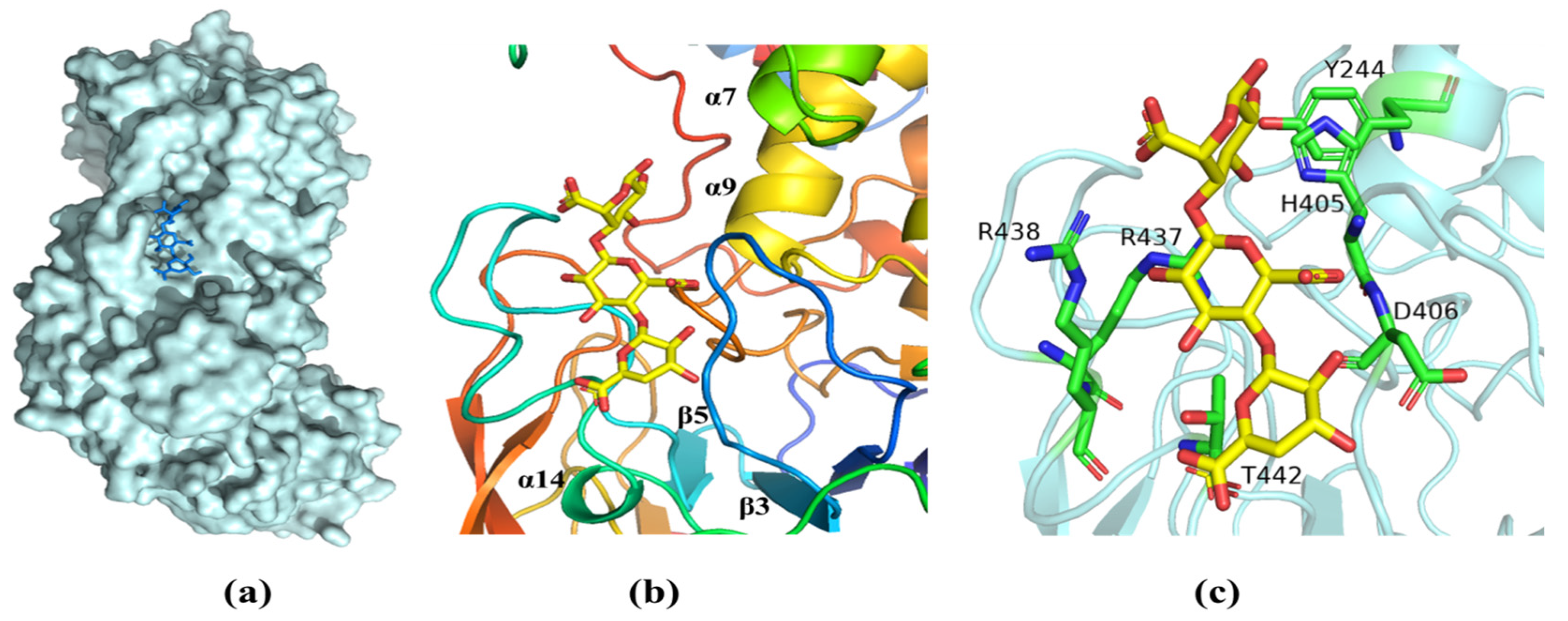Marinedrugs 21 00180 g007