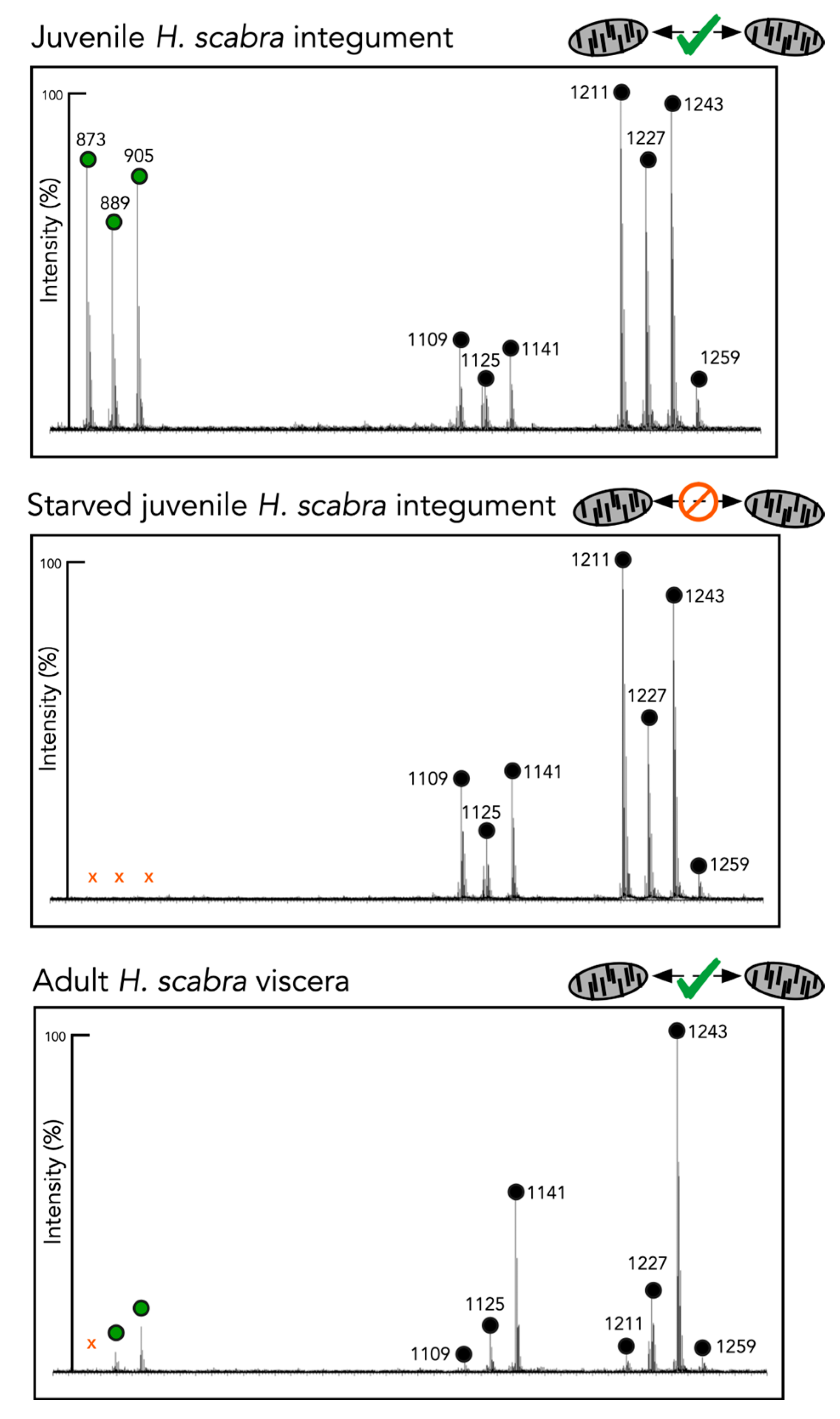Marinedrugs 21 00184 g005