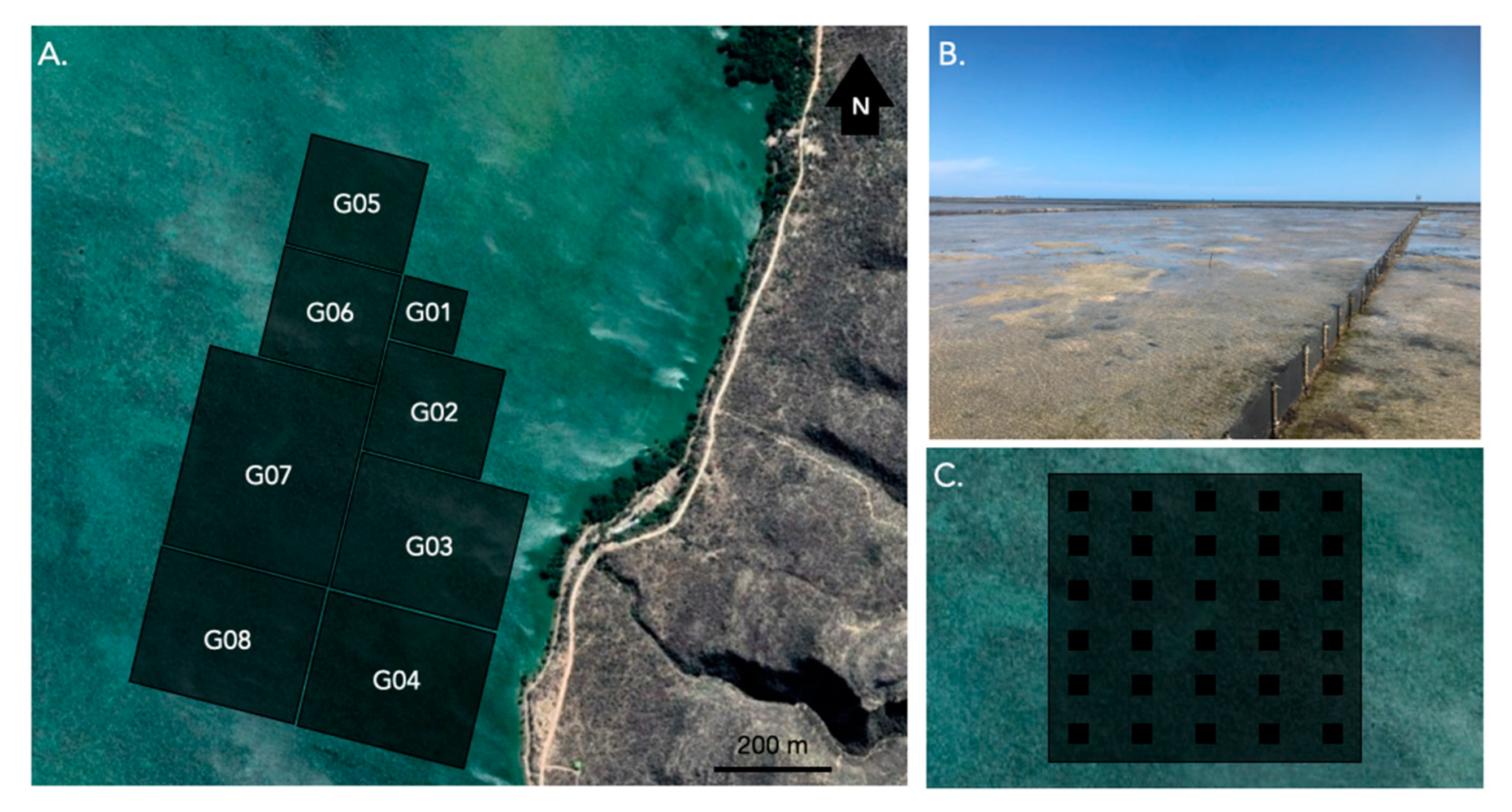 Marinedrugs 21 00184 g007