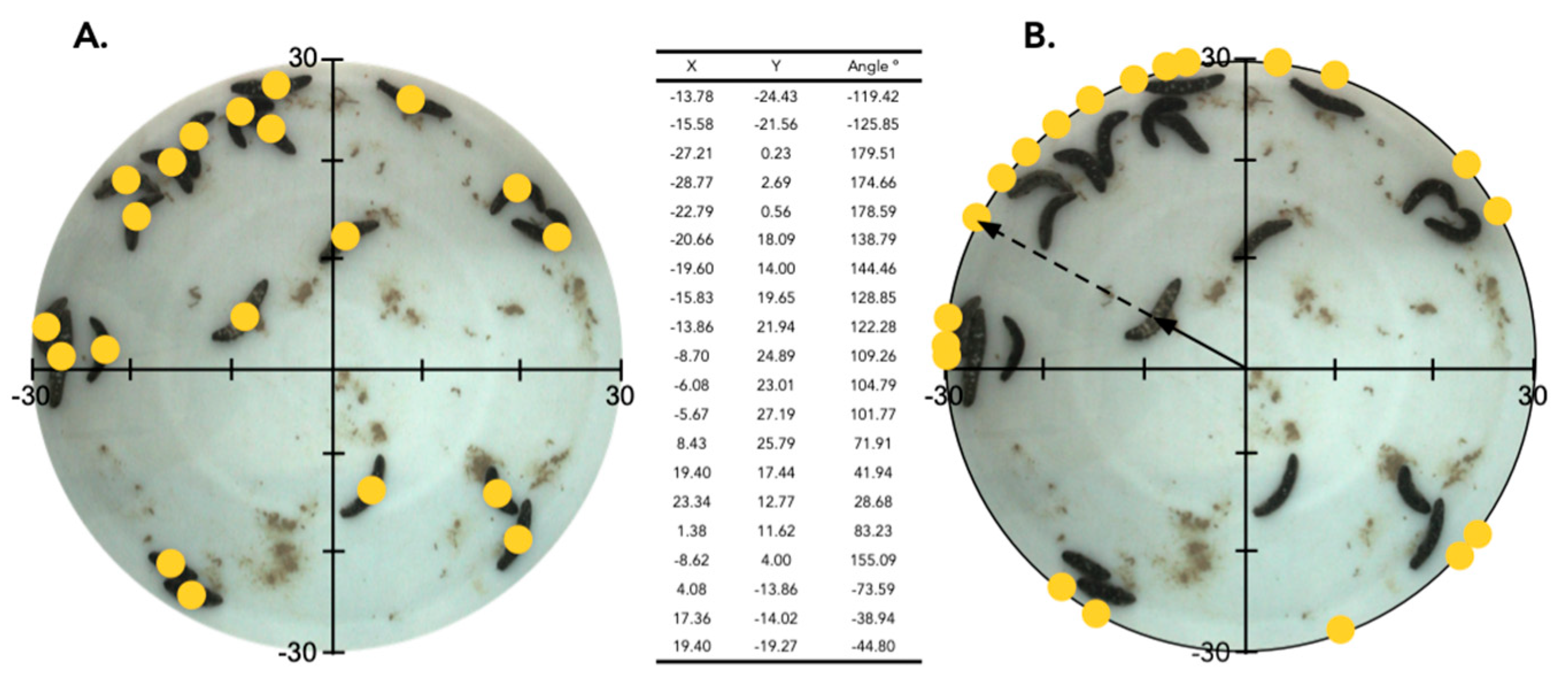 Marinedrugs 21 00184 g008