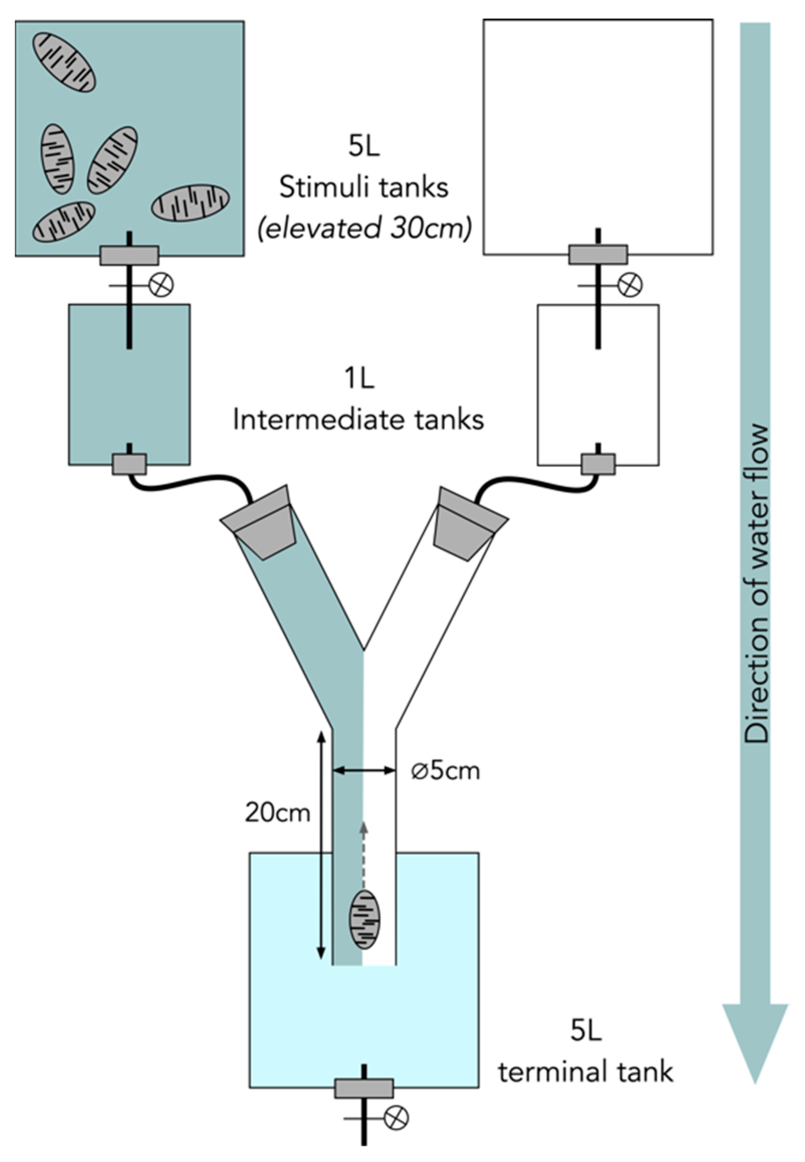 Marinedrugs 21 00184 g009