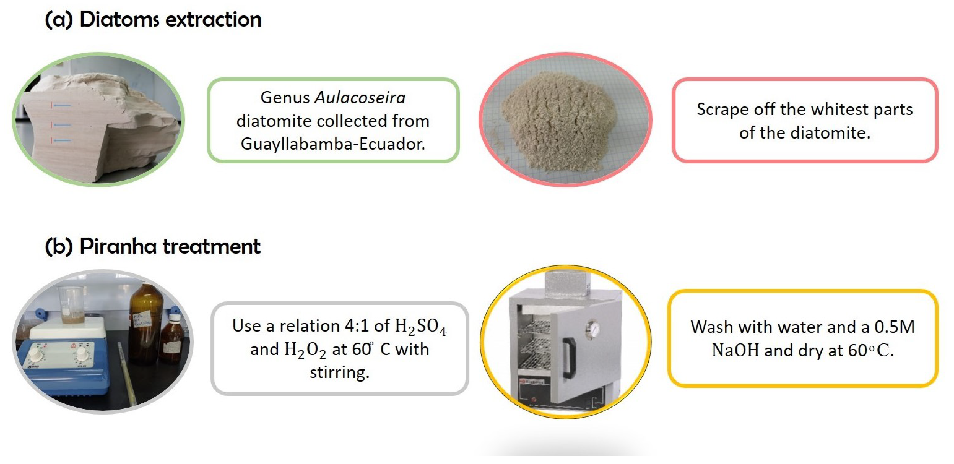 Marinedrugs 21 00185 g007 Marinedrugs 21 00185 g007