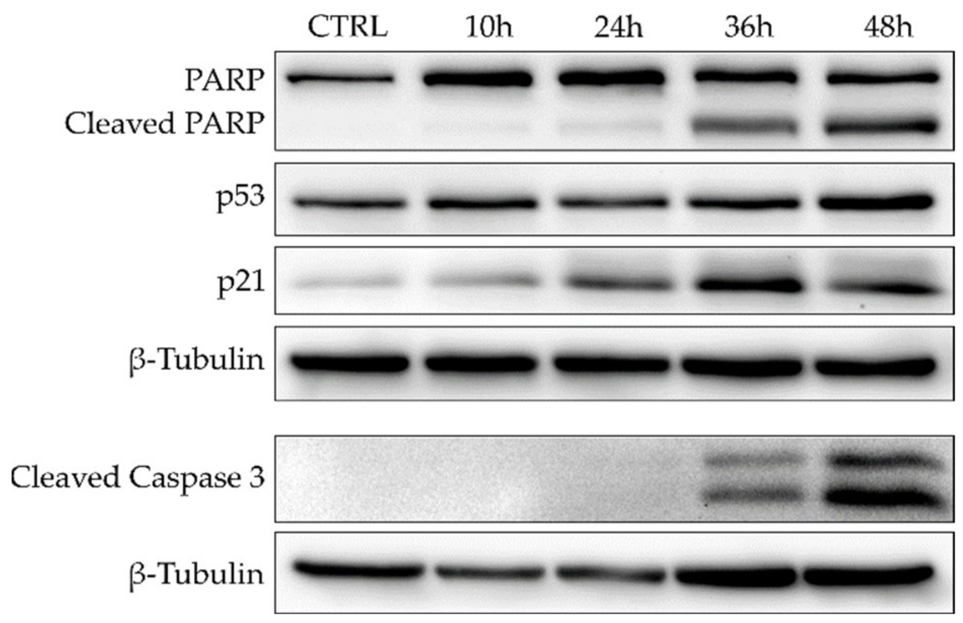Marinedrugs 21 00186 g006 Marinedrugs 21 00186 g006