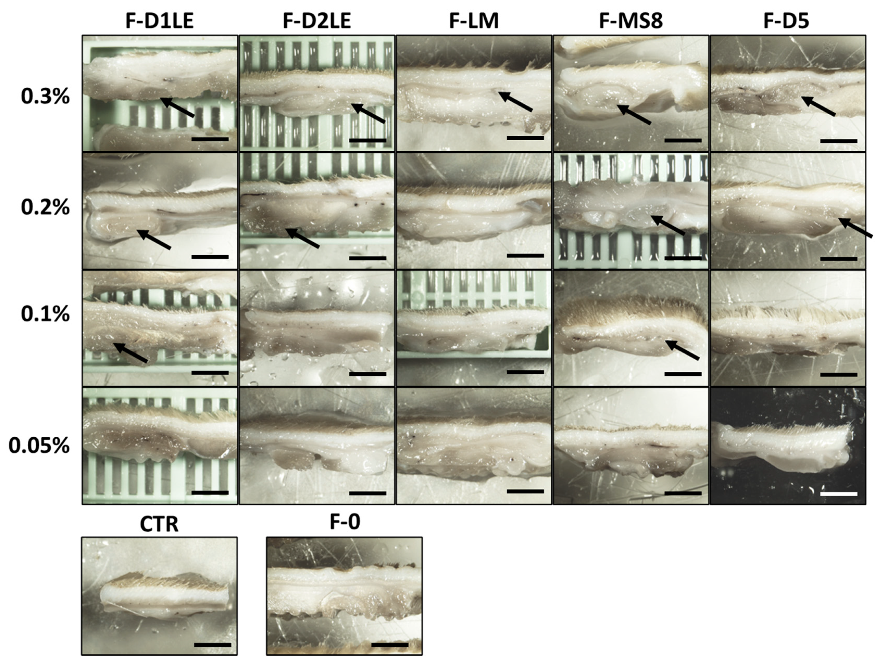 Marinedrugs 21 00187 g004 Marinedrugs 21 00187 g004