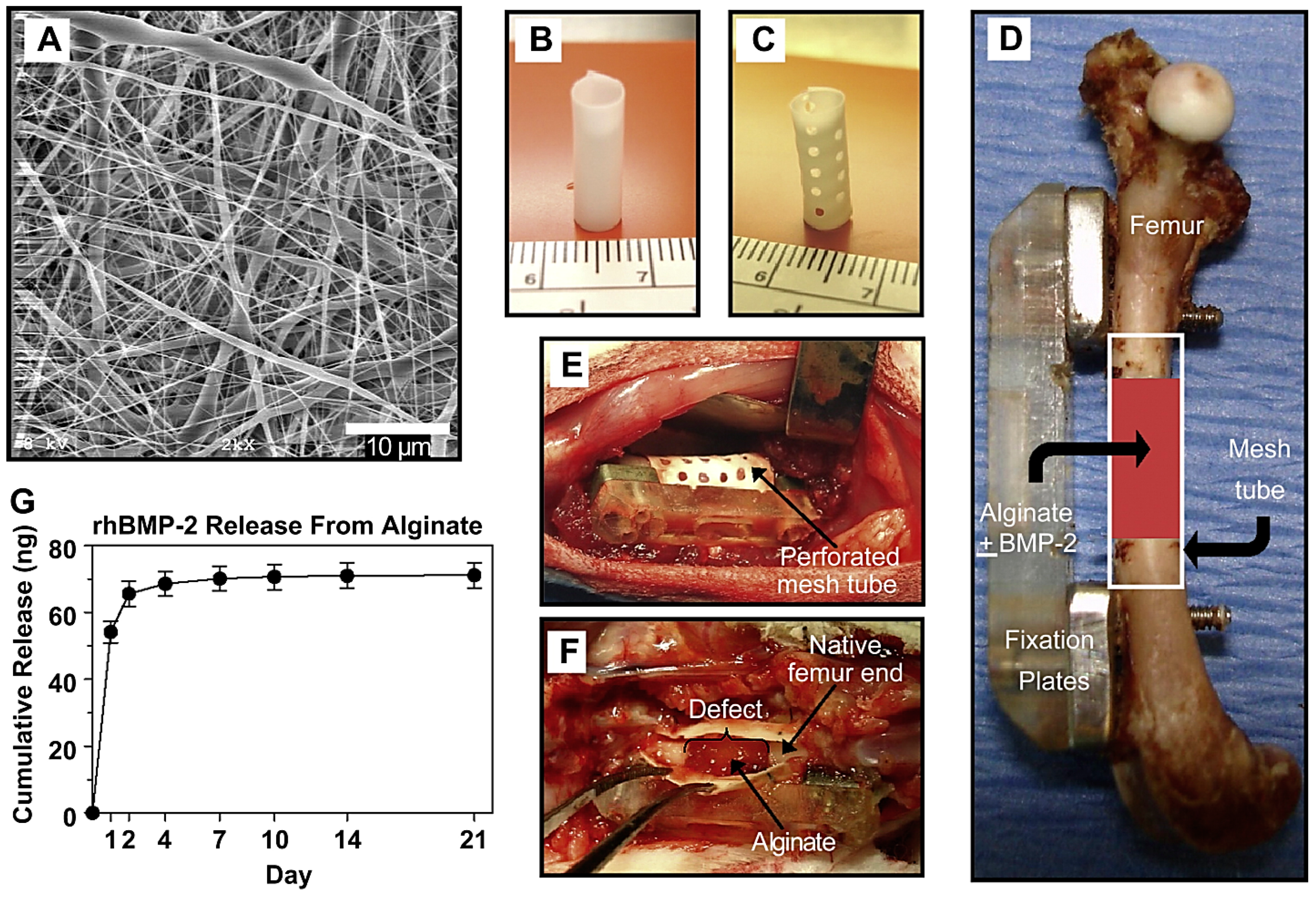 Marinedrugs 21 00189 g004