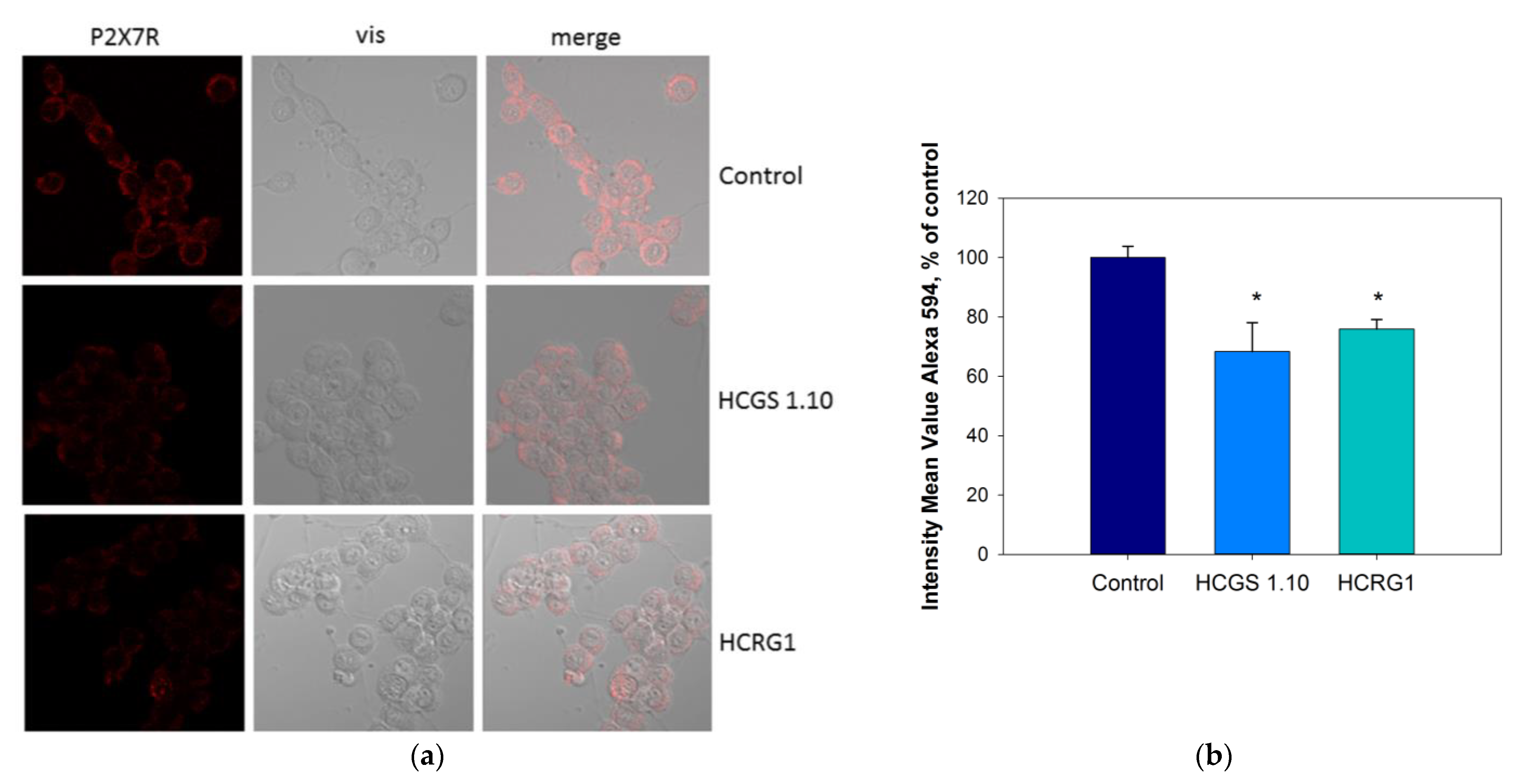 Marinedrugs 21 00192 g005