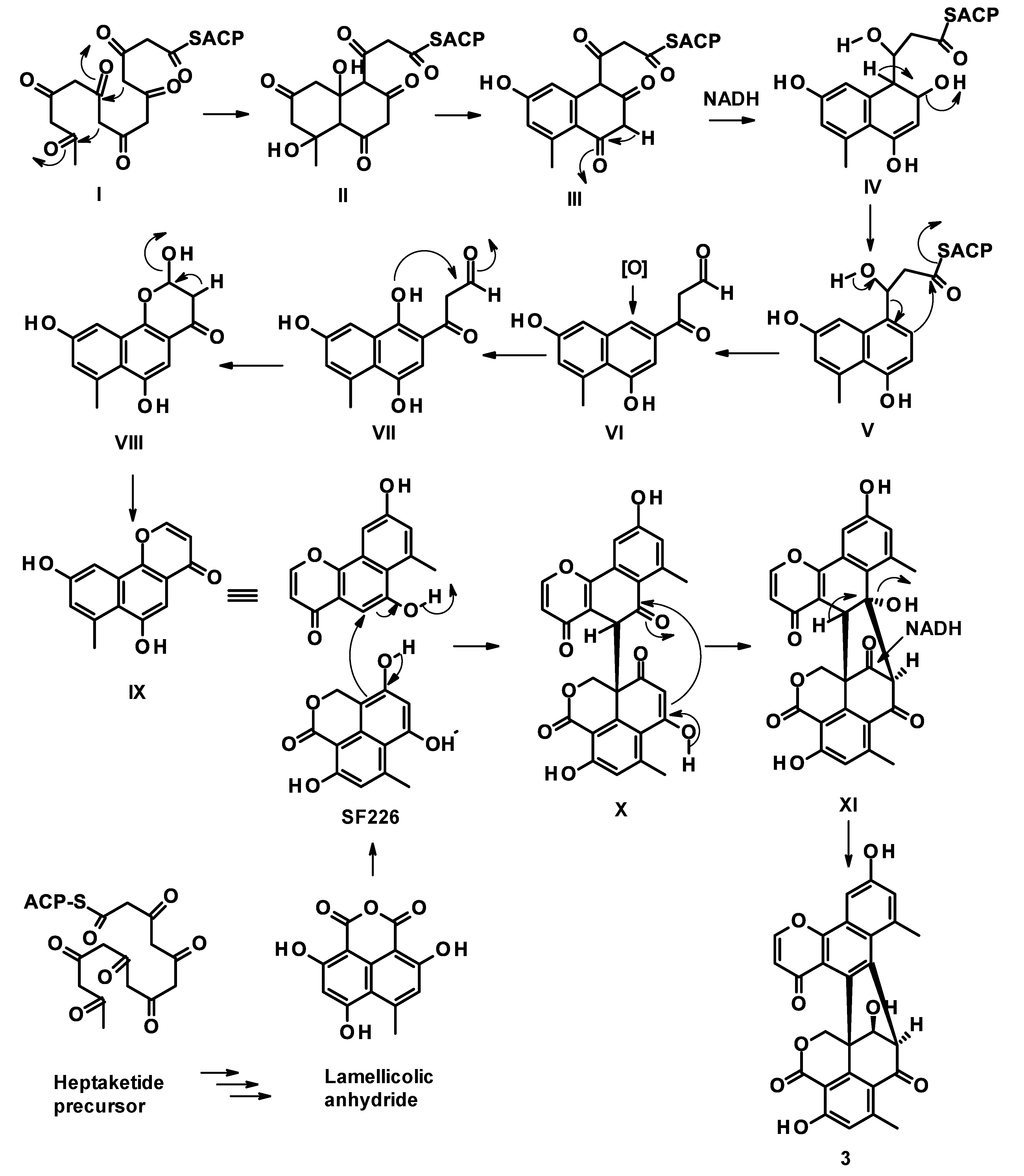 Marinedrugs 21 00194 g002 Marinedrugs 21 00194 g002