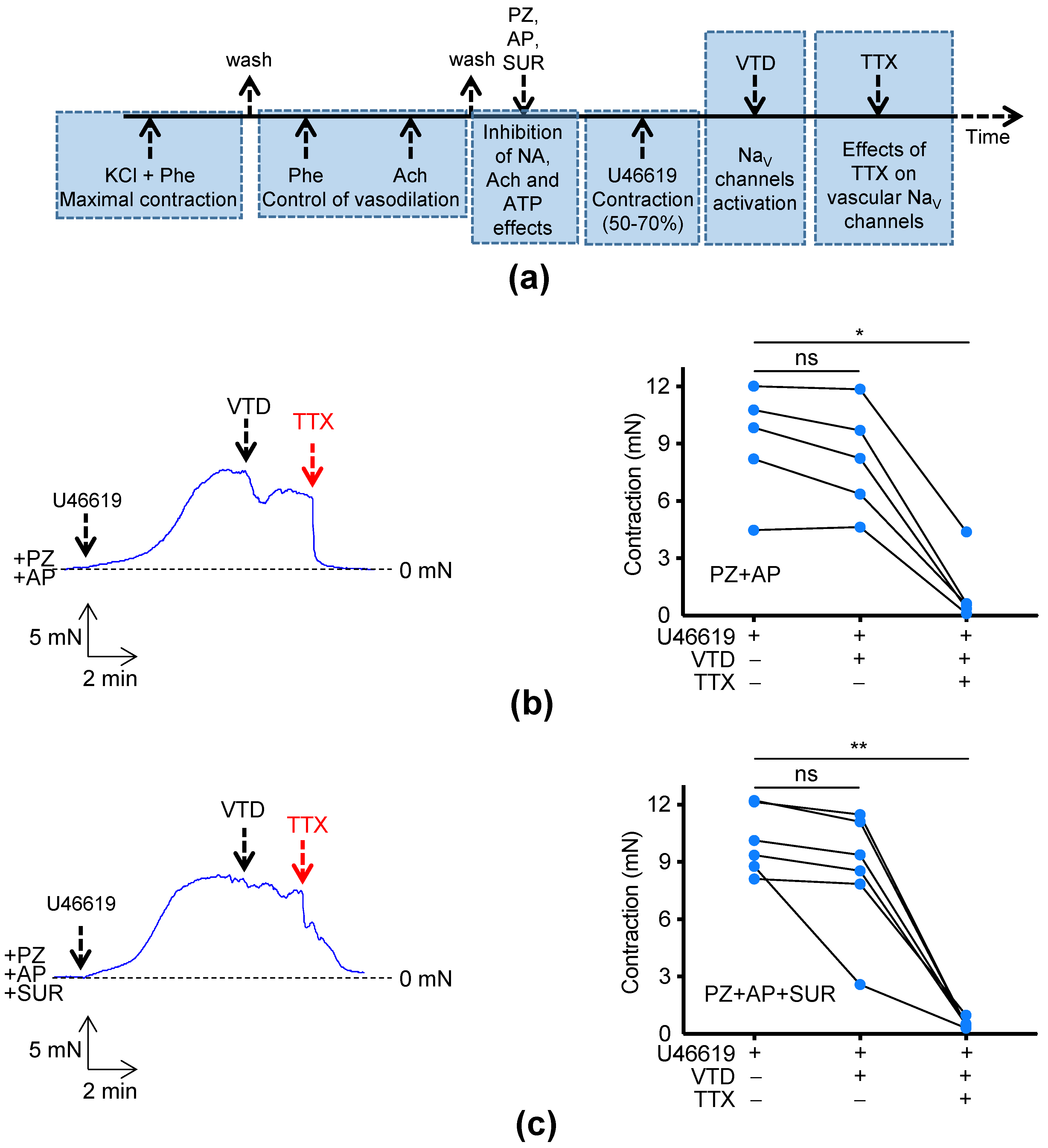 Marinedrugs 21 00196 g004
