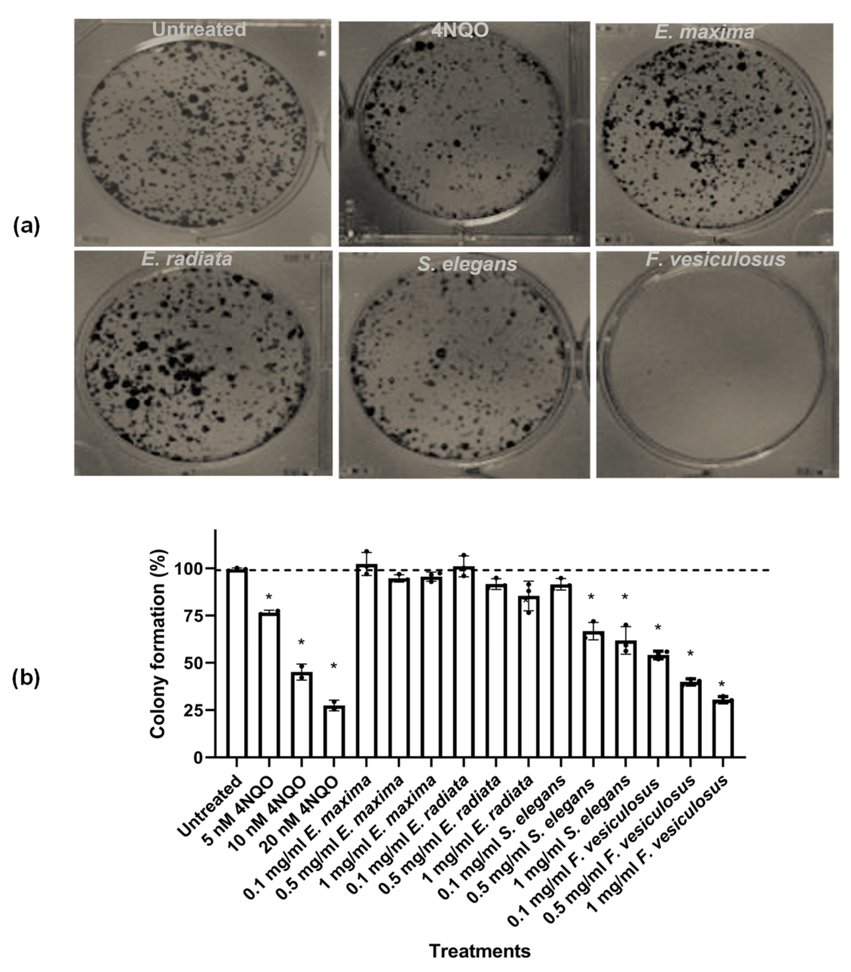 Marinedrugs 21 00203 g005