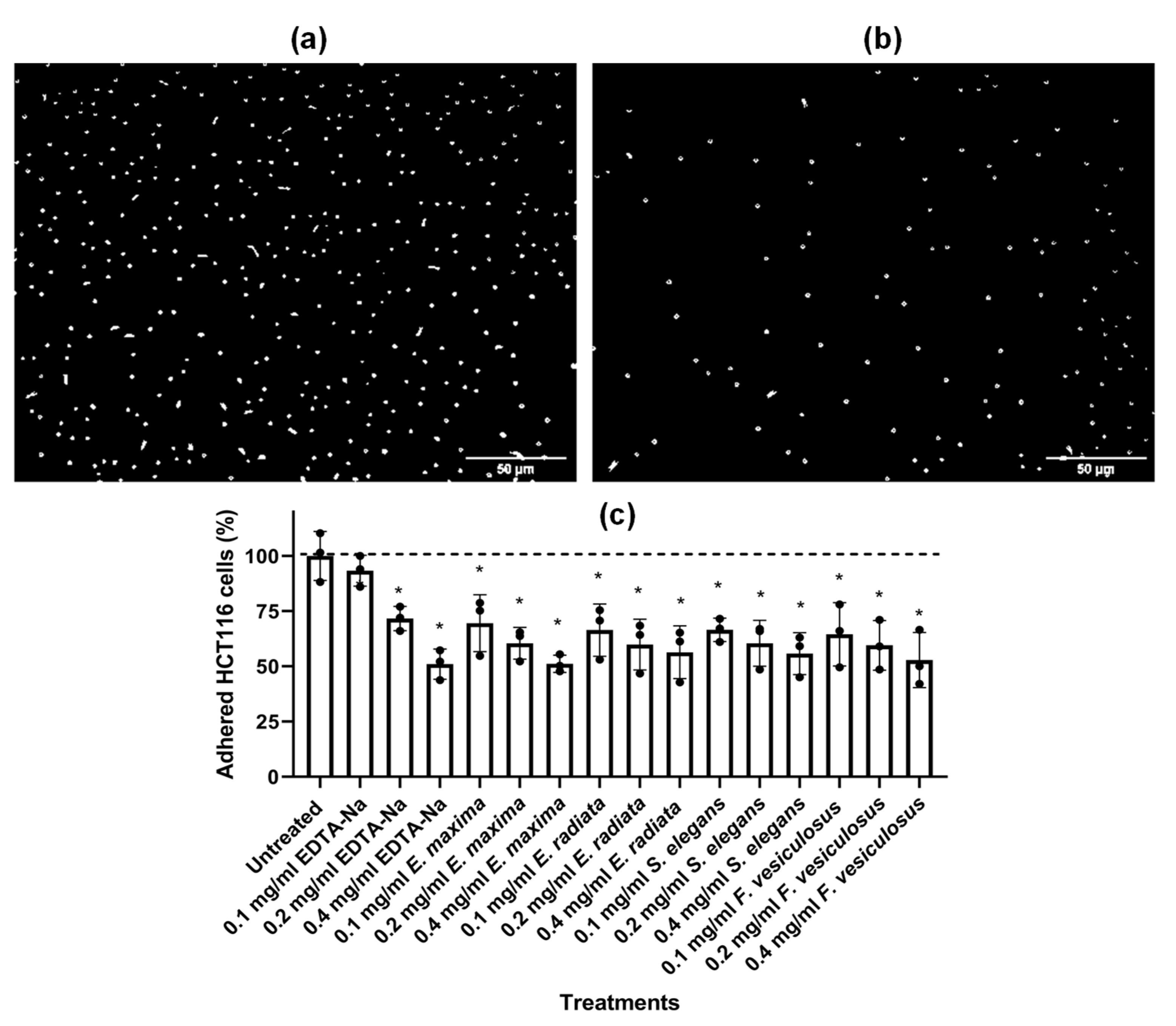 Marinedrugs 21 00203 g010