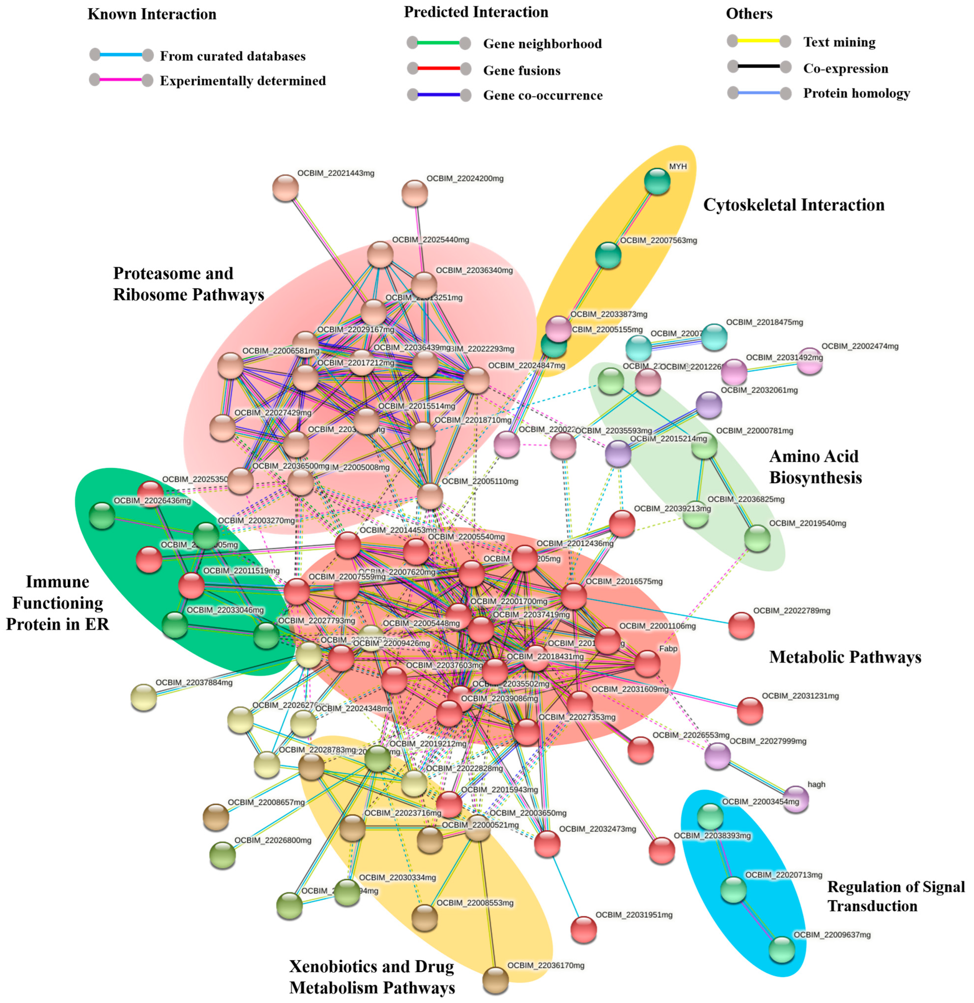 Marinedrugs 21 00206 g005 Marinedrugs 21 00206 g005