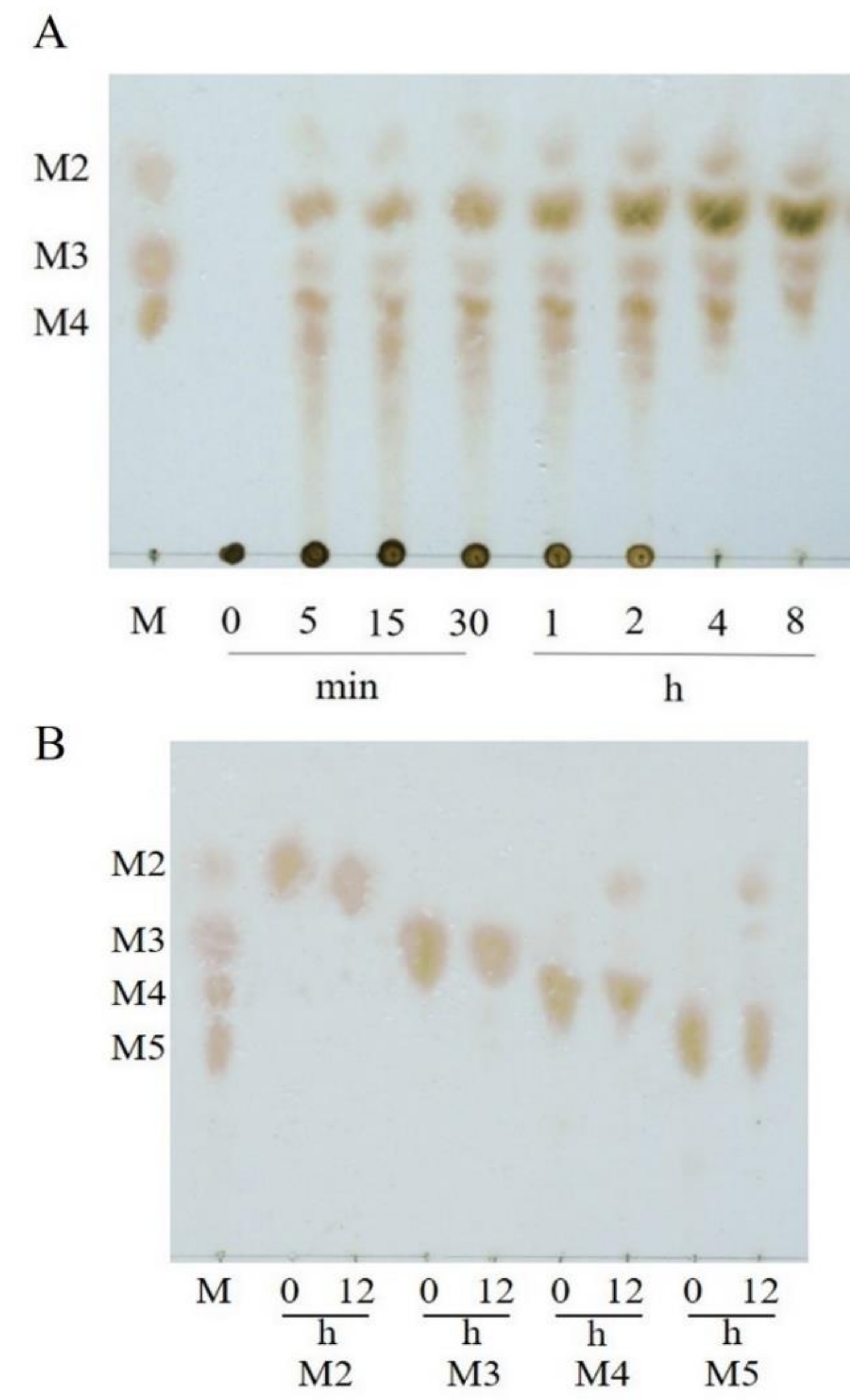 Marinedrugs 21 00208 g003