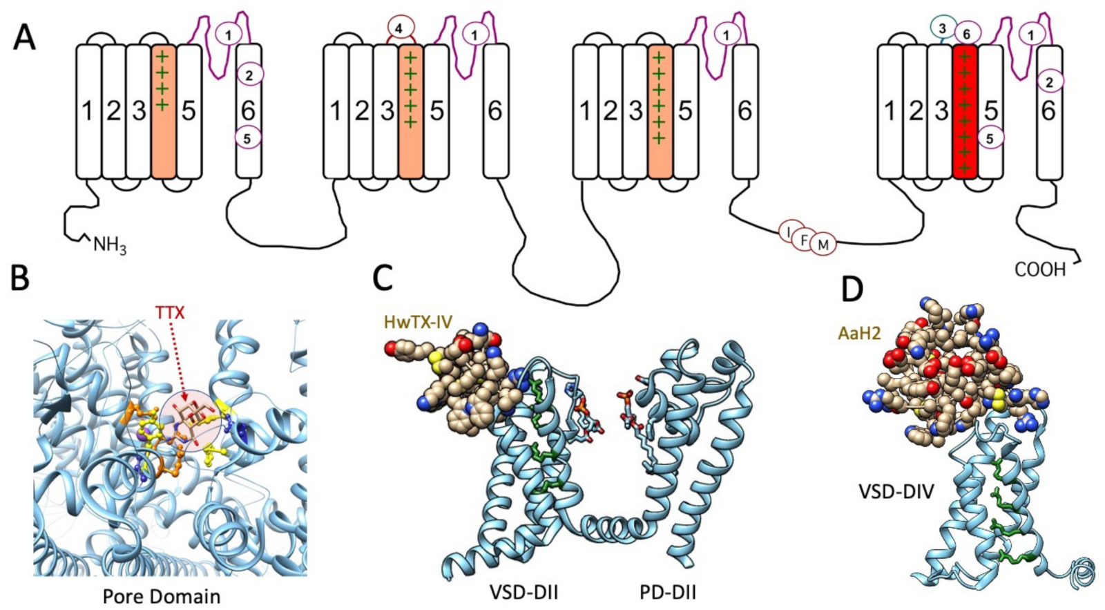 Marinedrugs 21 00209 g001 Marinedrugs 21 00209 g001