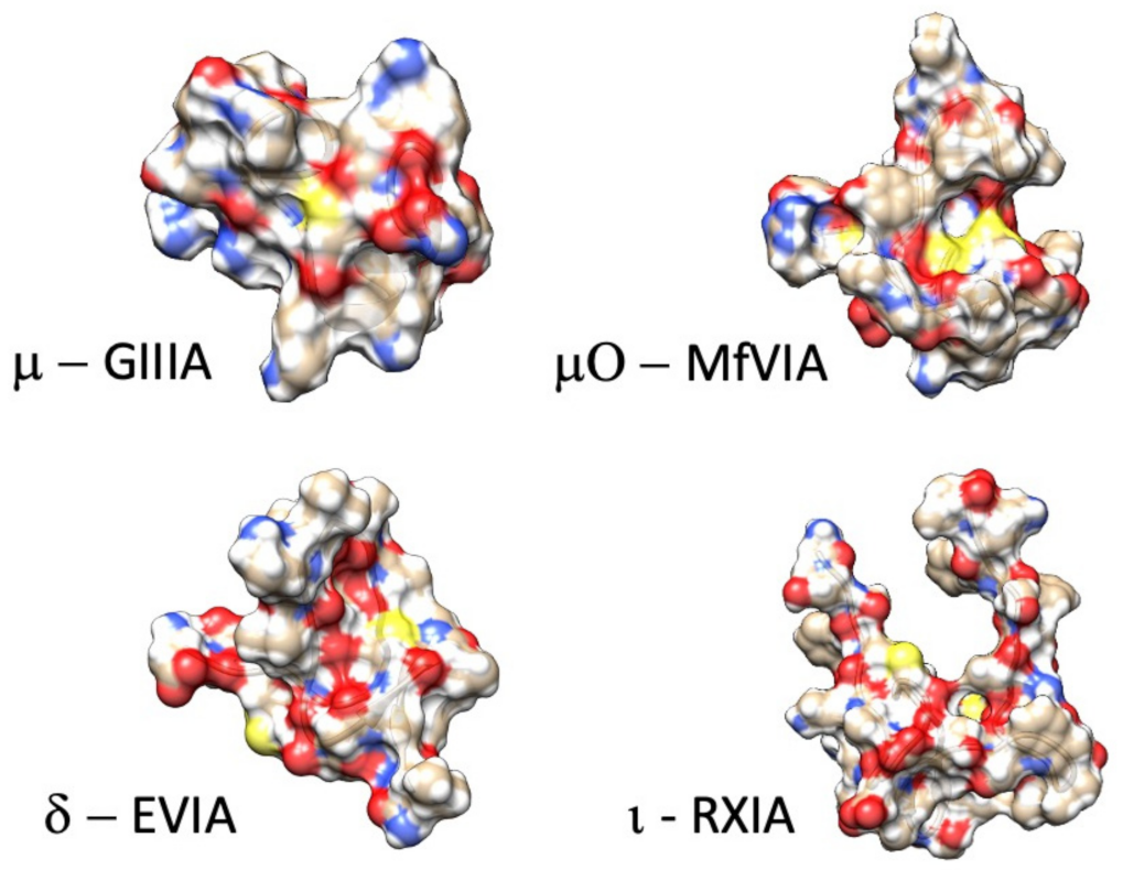 Marinedrugs 21 00209 g002 Marinedrugs 21 00209 g002