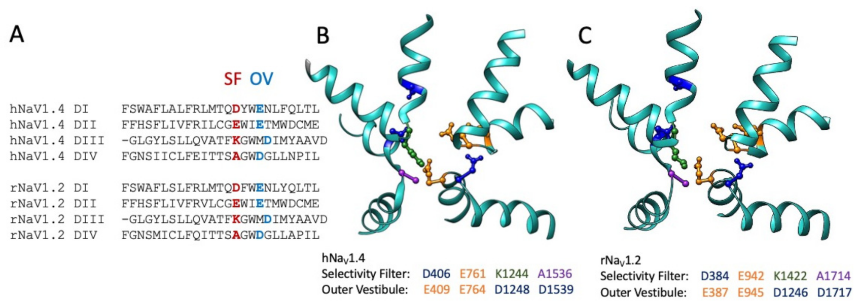 Marinedrugs 21 00209 g004 Marinedrugs 21 00209 g004