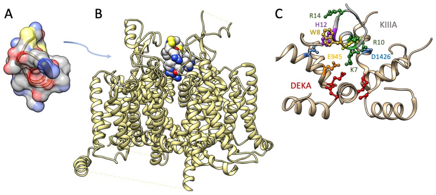 Marinedrugs 21 00209 g005 Marinedrugs 21 00209 g005