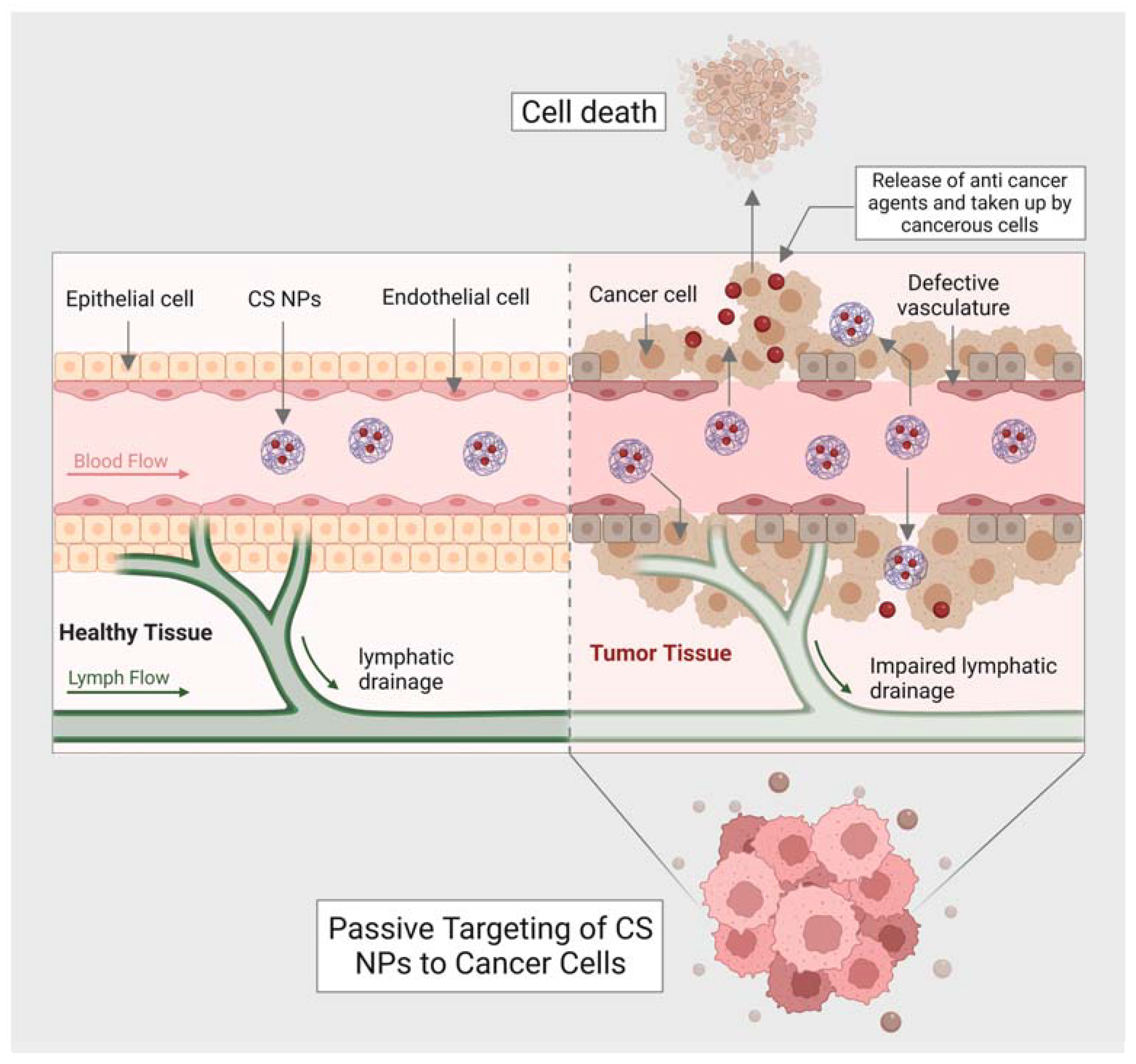 Marinedrugs 21 00211 g003 Marinedrugs 21 00211 g003