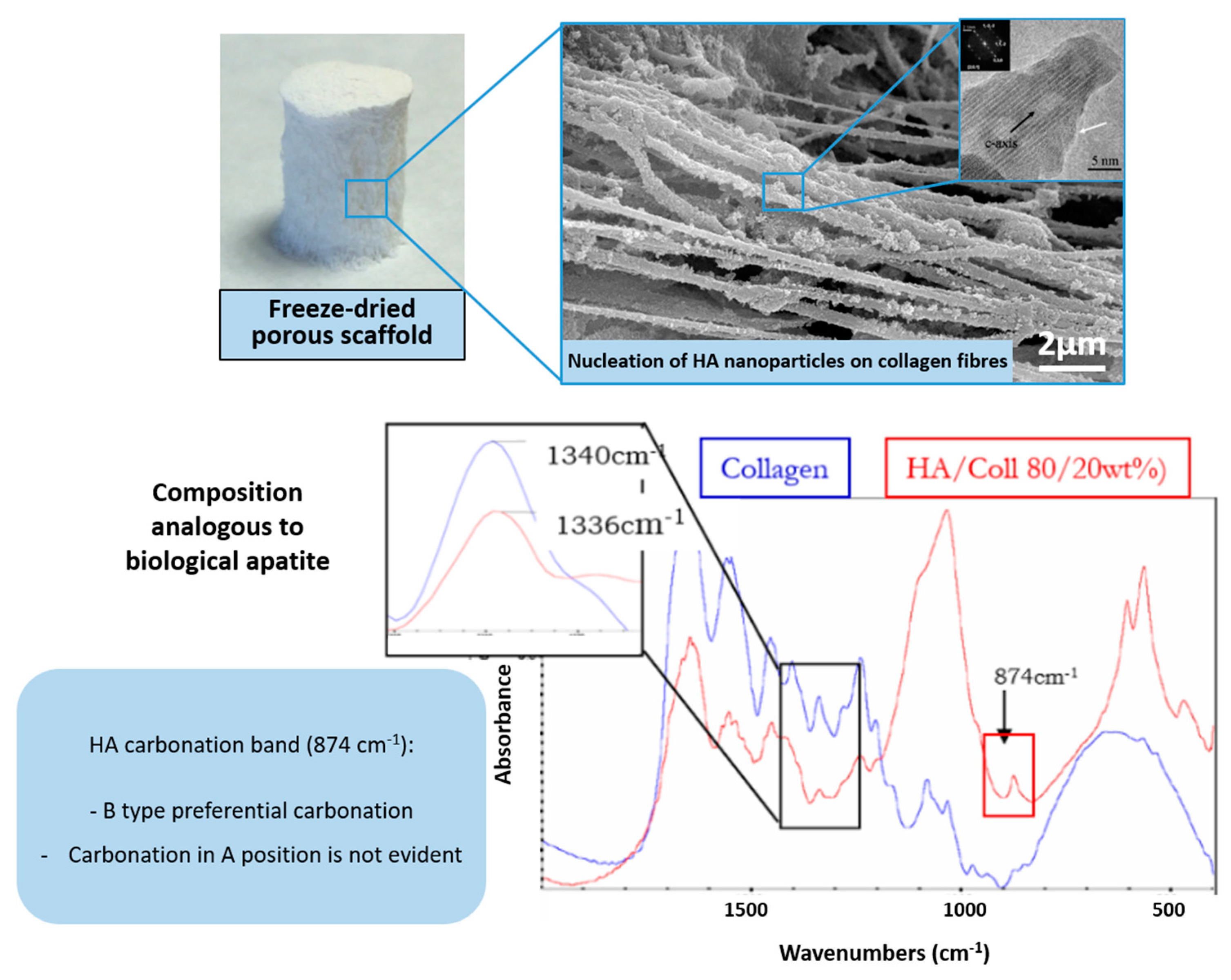 Marinedrugs 21 00212 g001 Marinedrugs 21 00212 g001