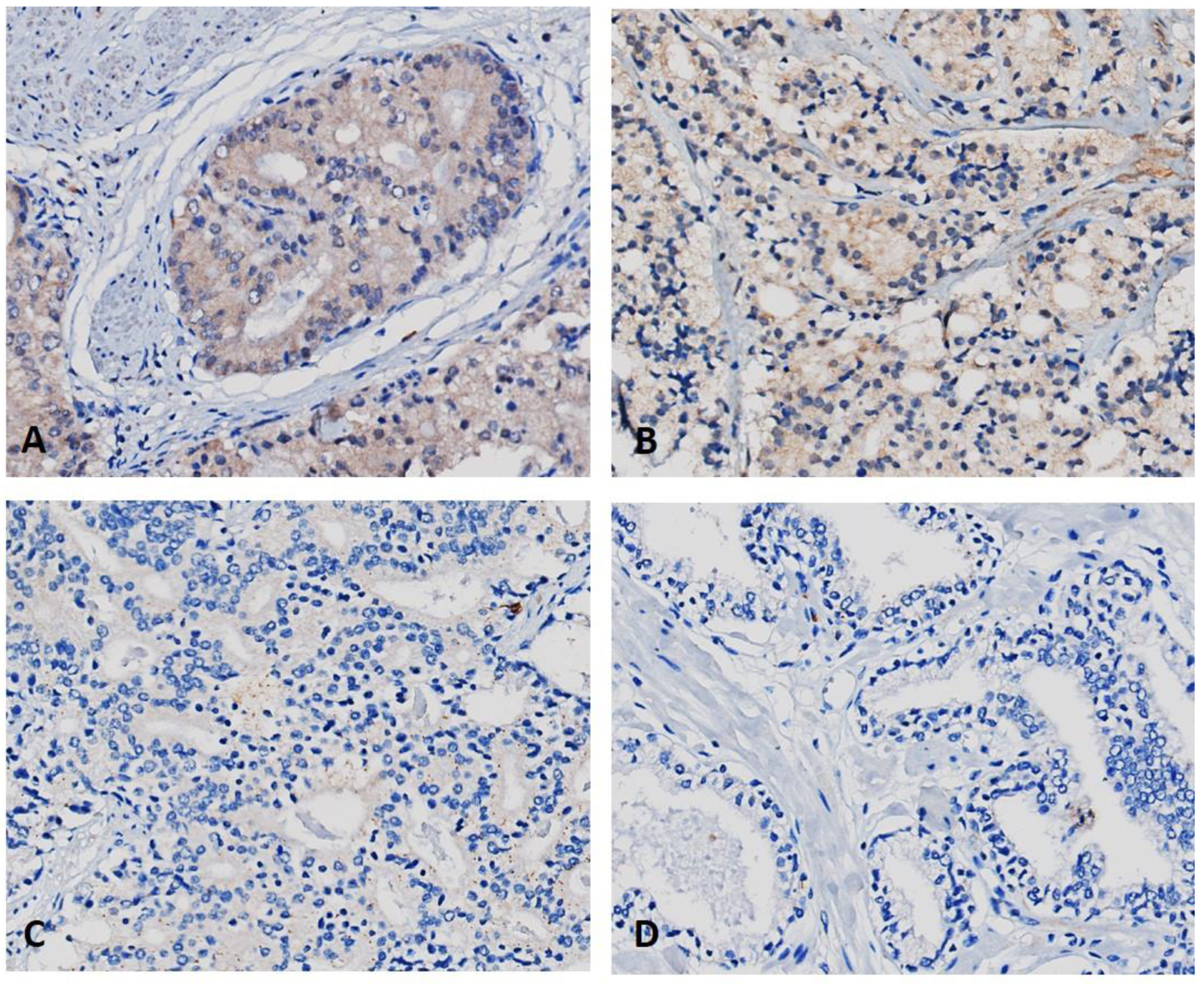 Marinedrugs 21 00215 g003 Marinedrugs 21 00215 g003