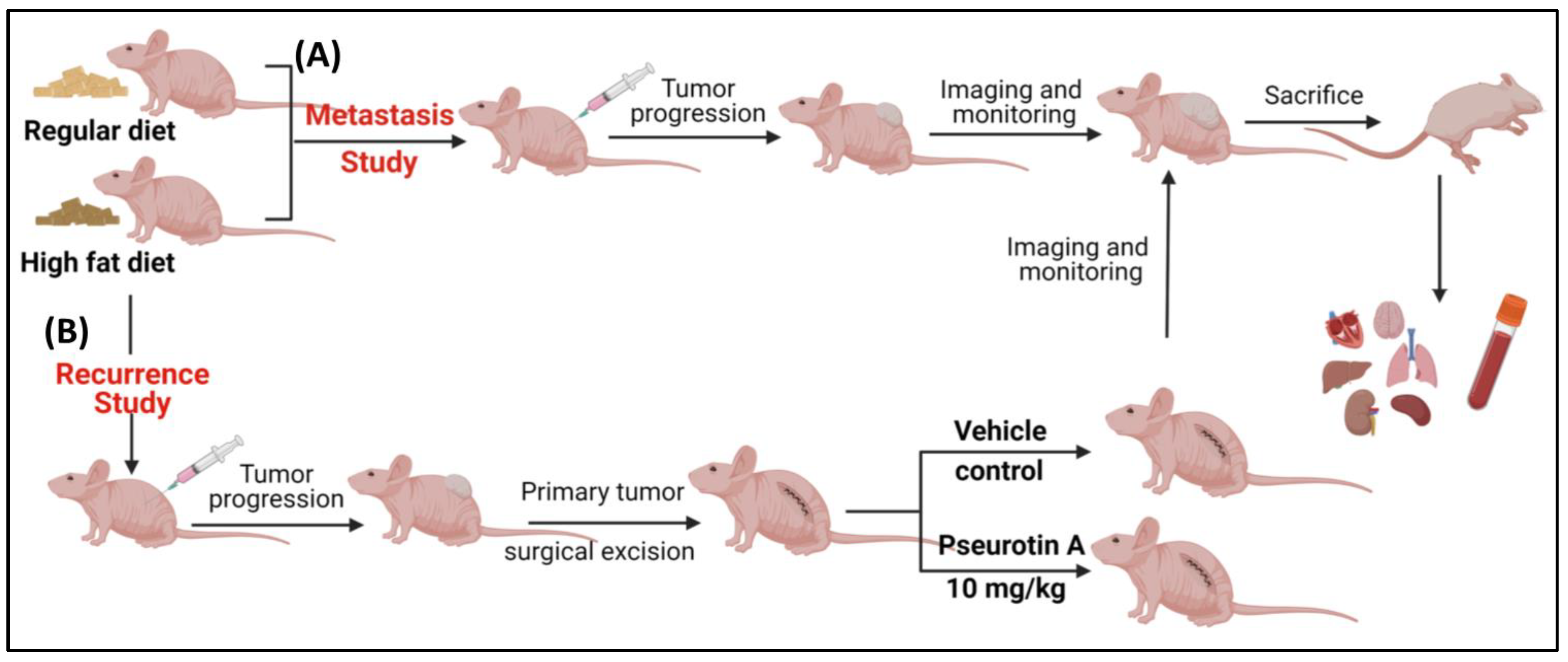 Marinedrugs 21 00215 g006 Marinedrugs 21 00215 g006