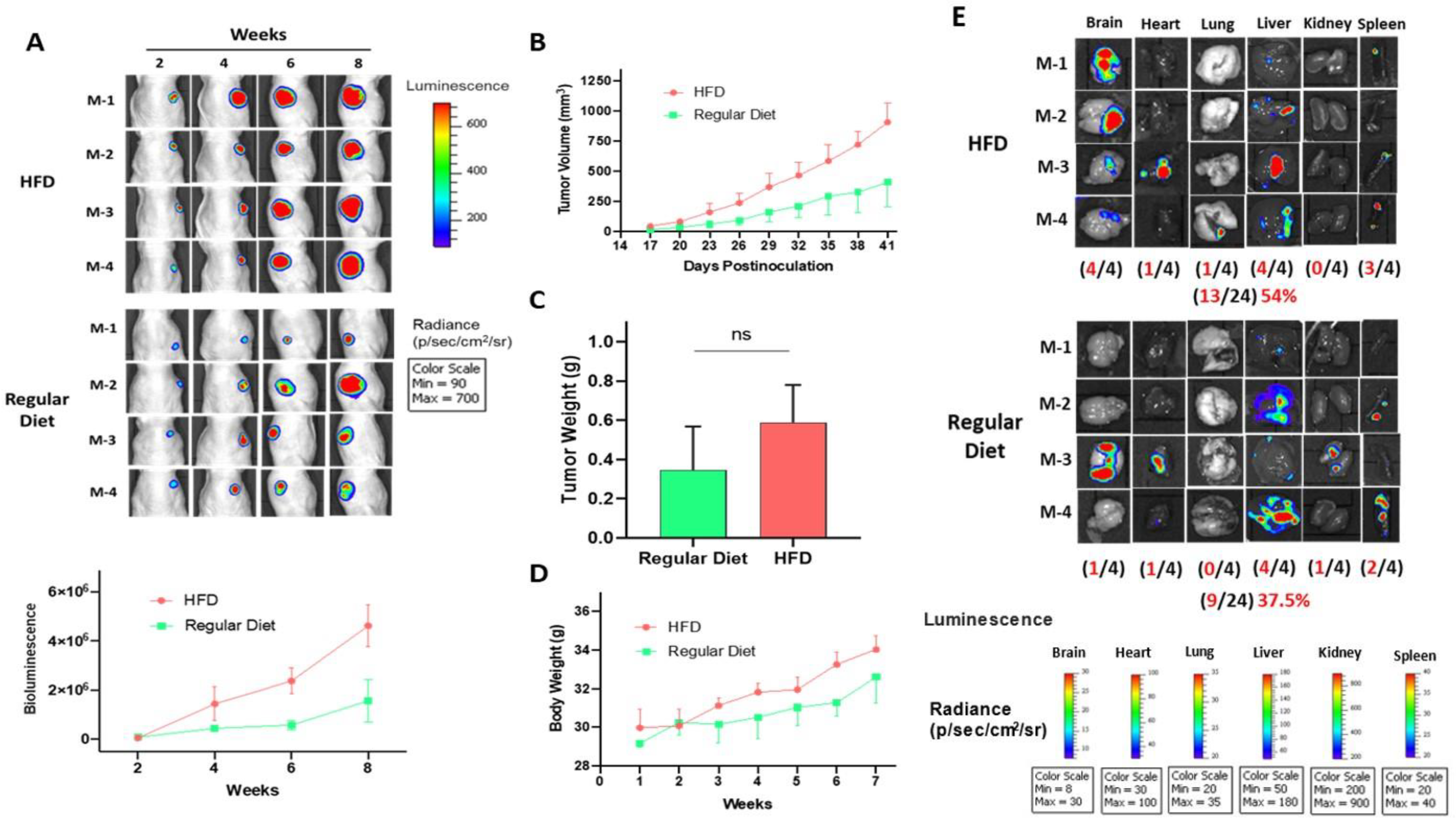 Marinedrugs 21 00215 g007 Marinedrugs 21 00215 g007