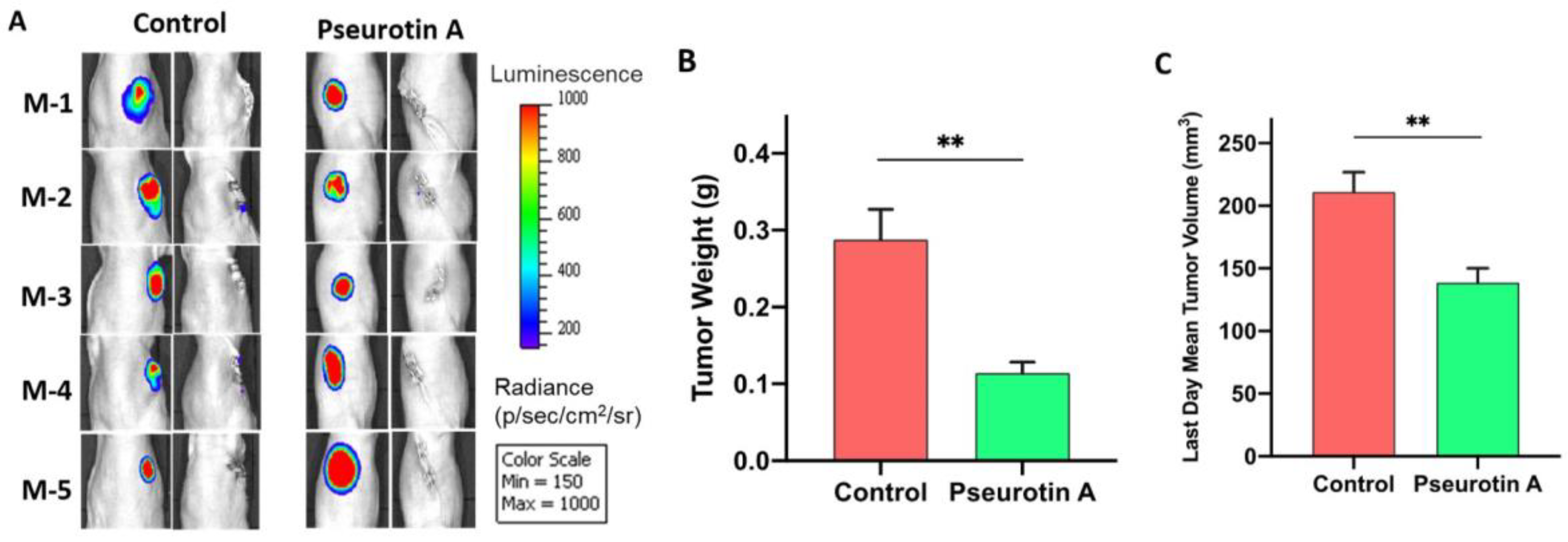 Marinedrugs 21 00215 g009 Marinedrugs 21 00215 g009