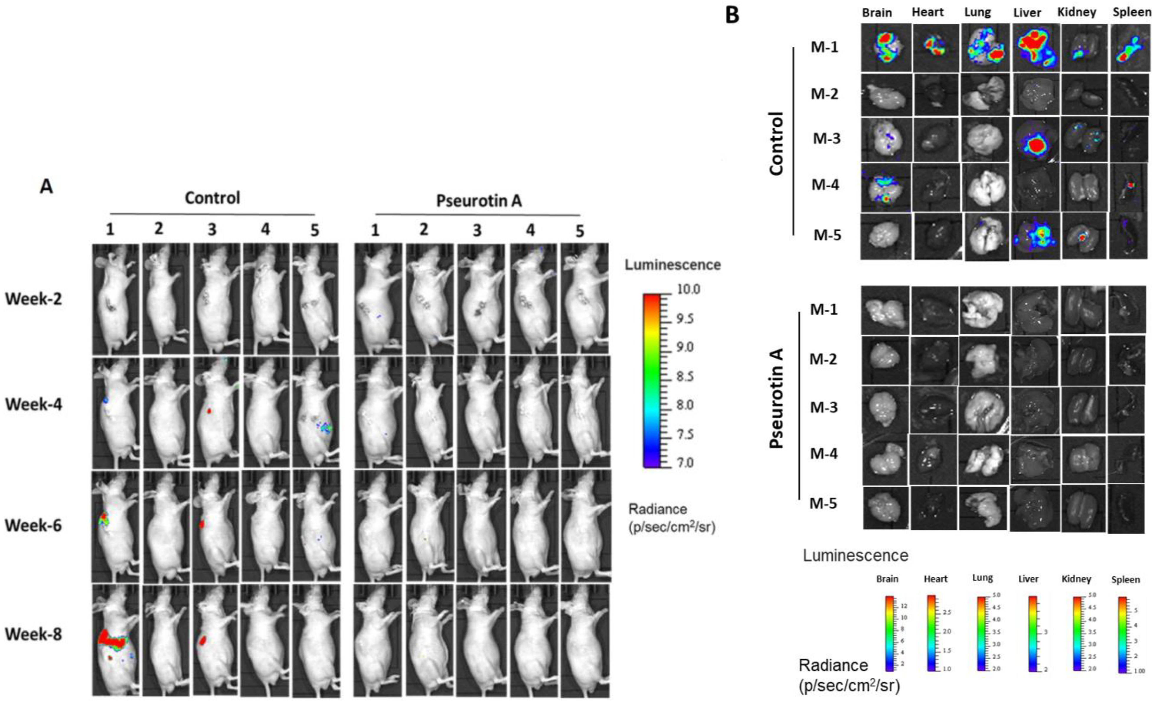 Marinedrugs 21 00215 g010 Marinedrugs 21 00215 g010